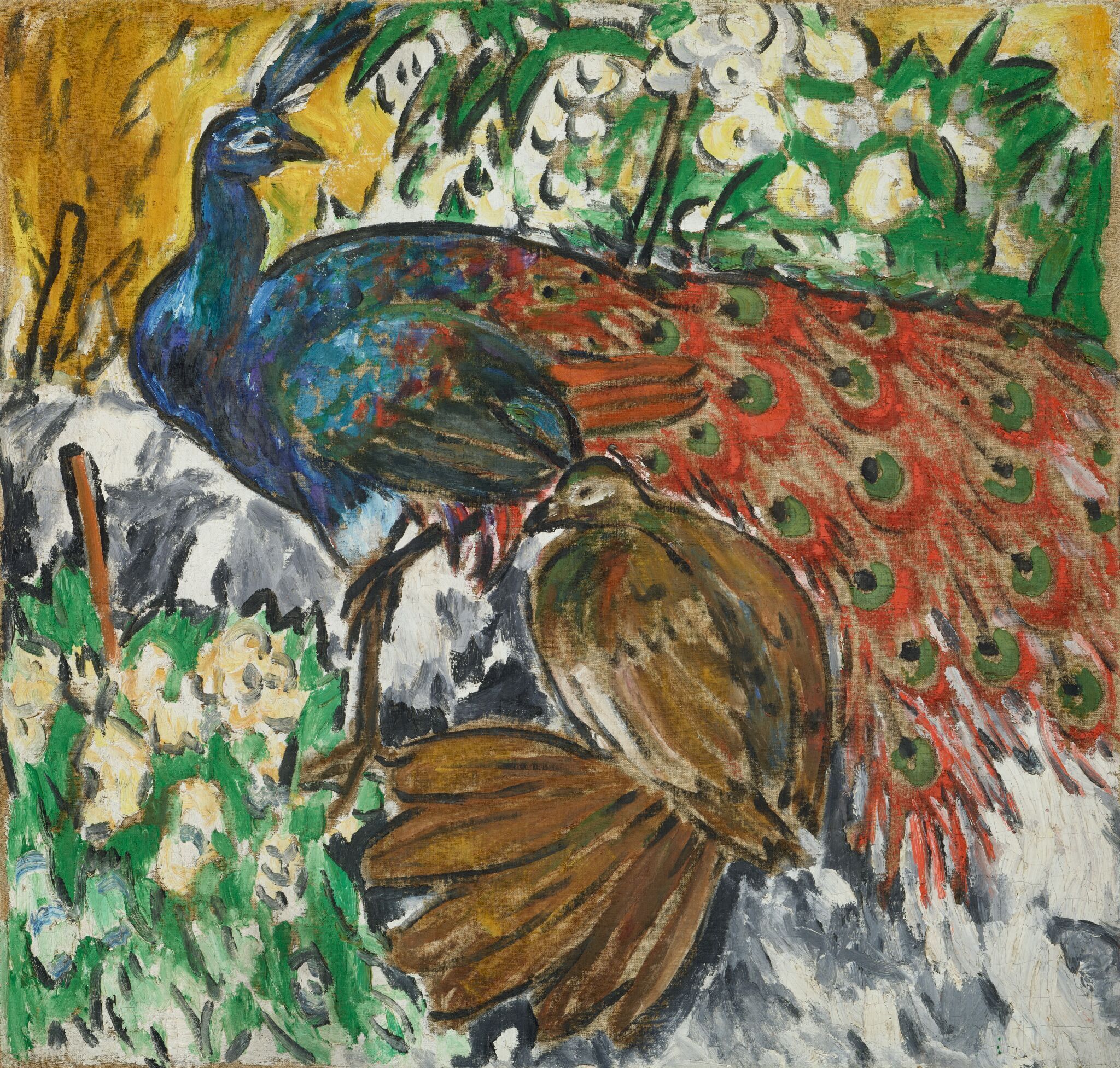 Павлины, Mikhail Larionov, second half of the 1900s