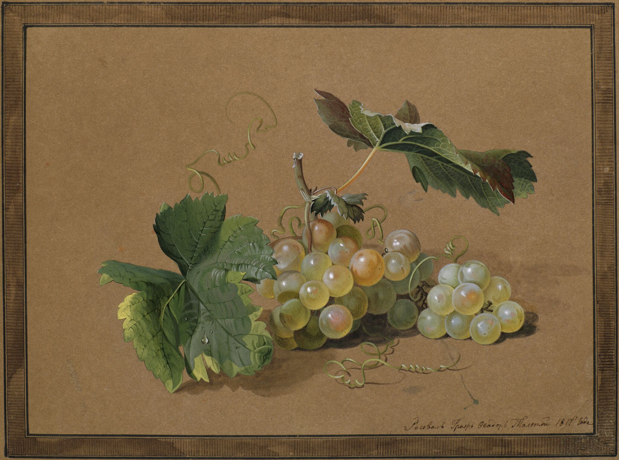 Ветка винограда, Fyodor Petrovich Tolstoy, 1817