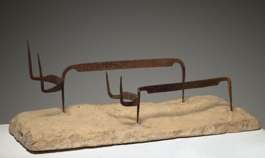 В желтой жаркой Африке