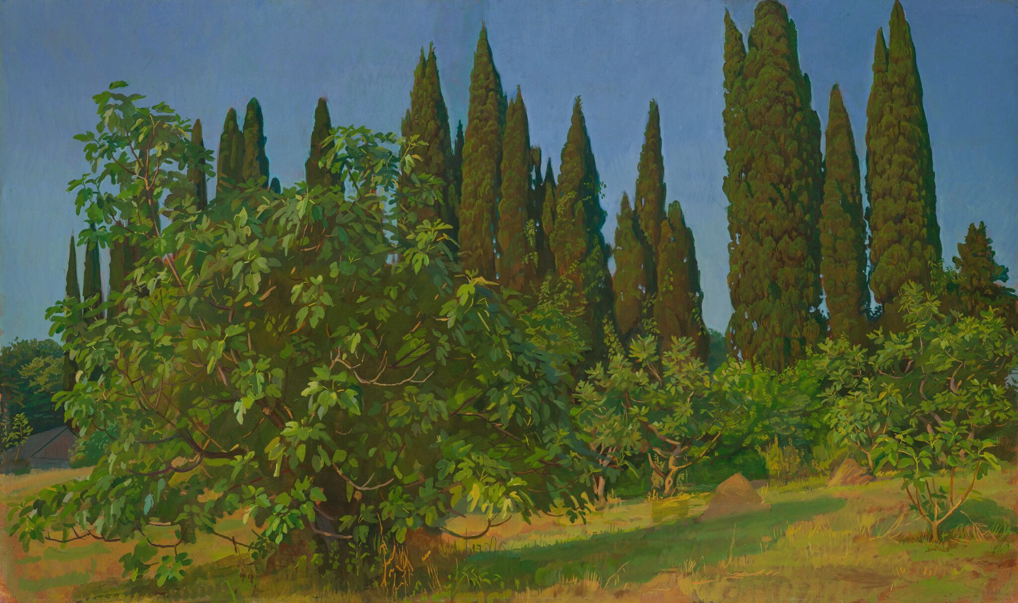 Уч-Дере. Кипарисы, Dmitri Zhilinsky, 1982