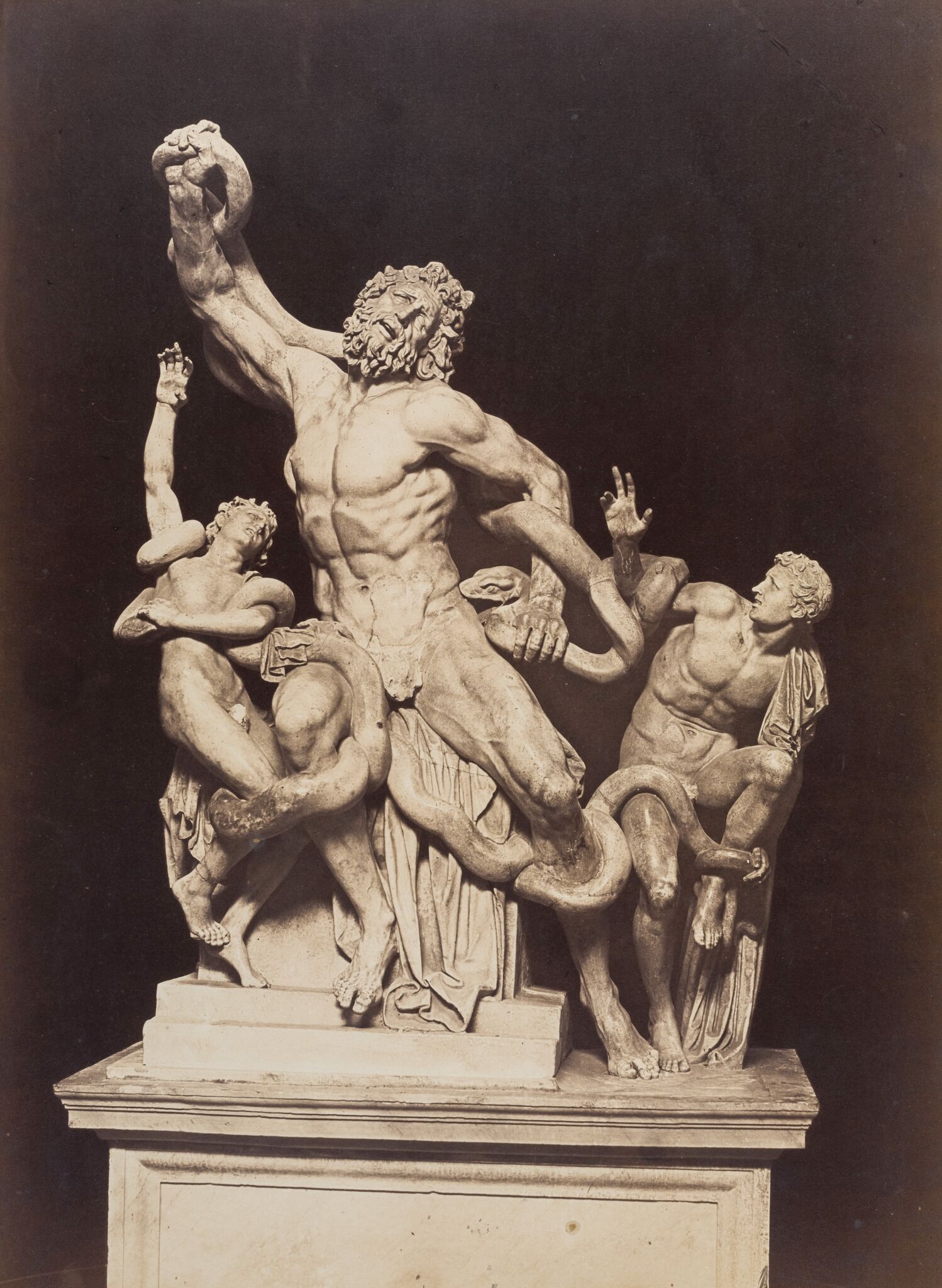 Фотография. Лаокоон и его сыновья, Kuchchoni Tommazo, 1850-e