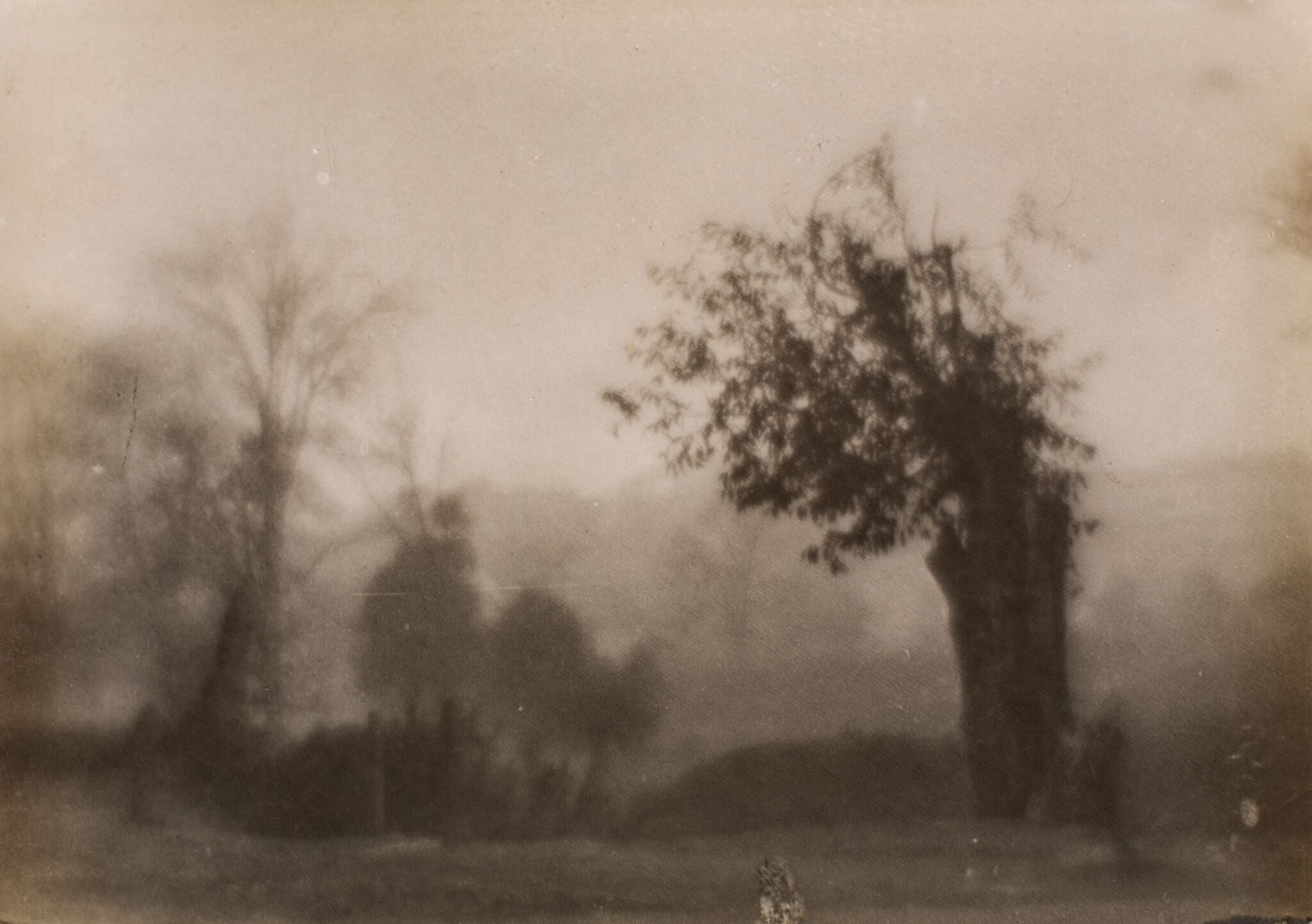 Сломанное дерево, Nikolay Andreyev, 1928