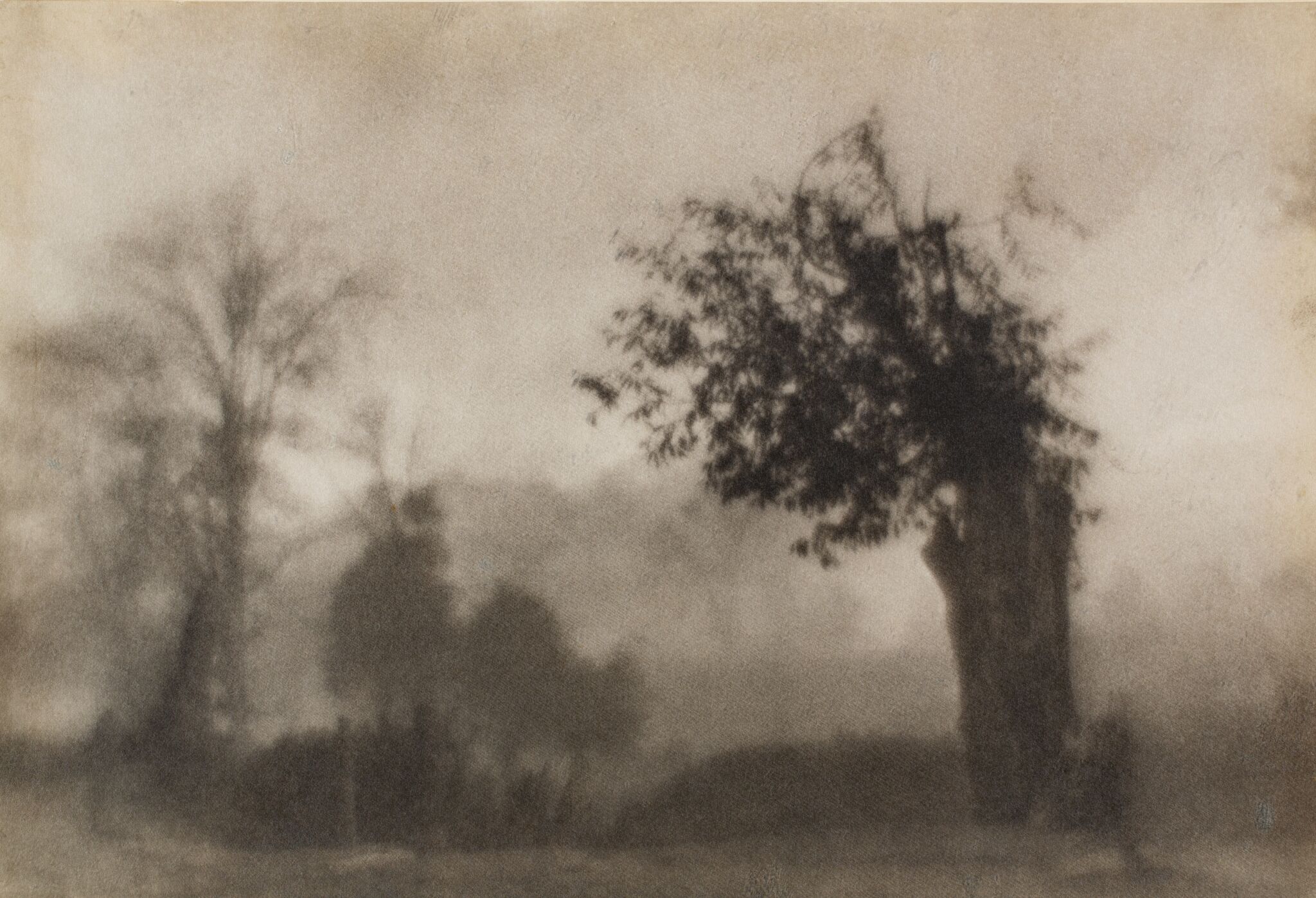 Сломанное дерево, Nikolay Andreyev, 1928