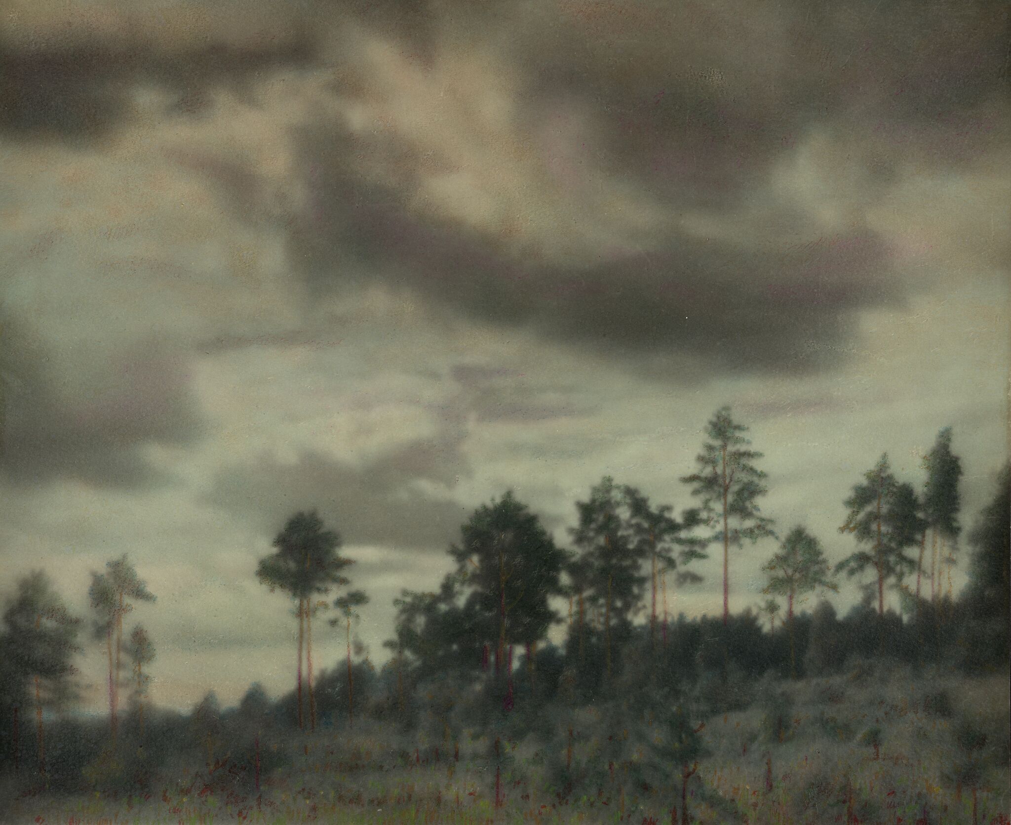 Облака и сосны, Nikolay Andreyev, 1920s