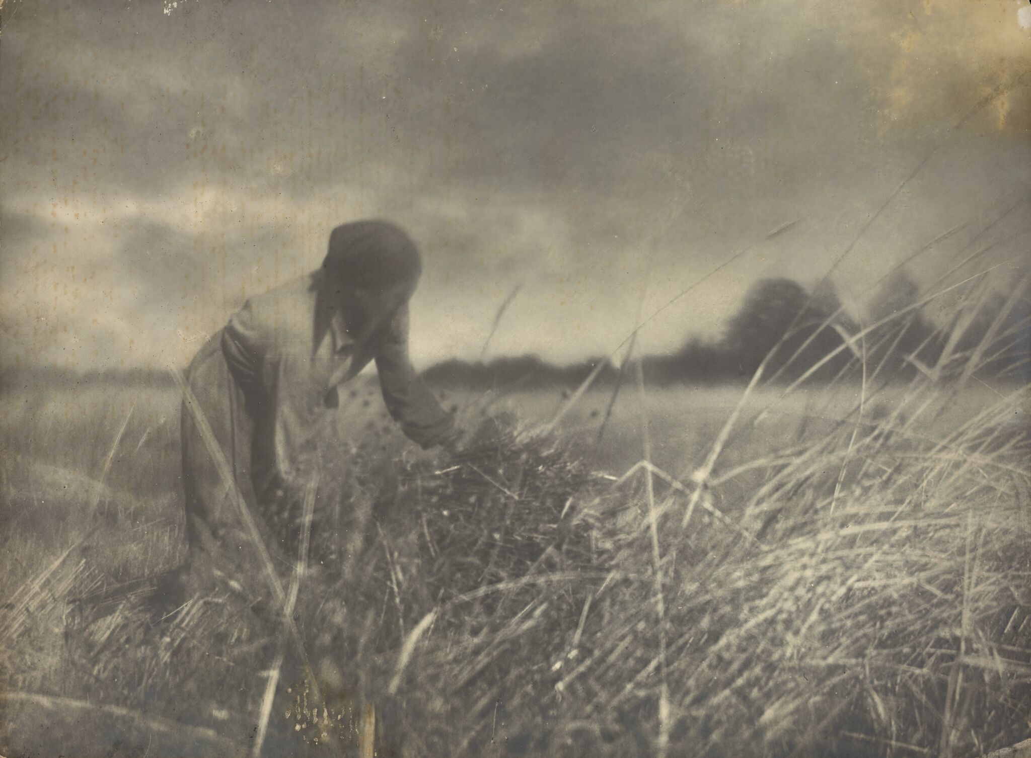 Жница, Nikolay Andreyev, 1930