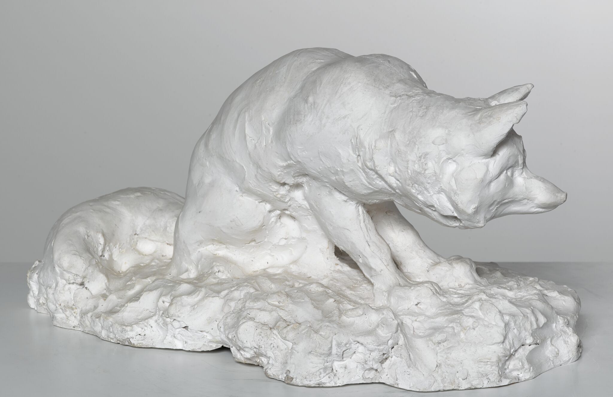 Лисица (сидящая), Nikolay Andreyev, 1903