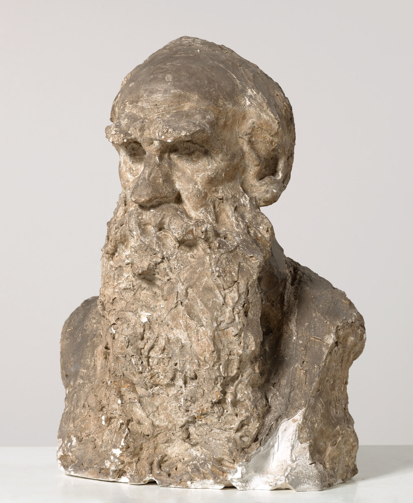 Портрет Л.Н. Толстого, Nikolay Andreyev, 1908