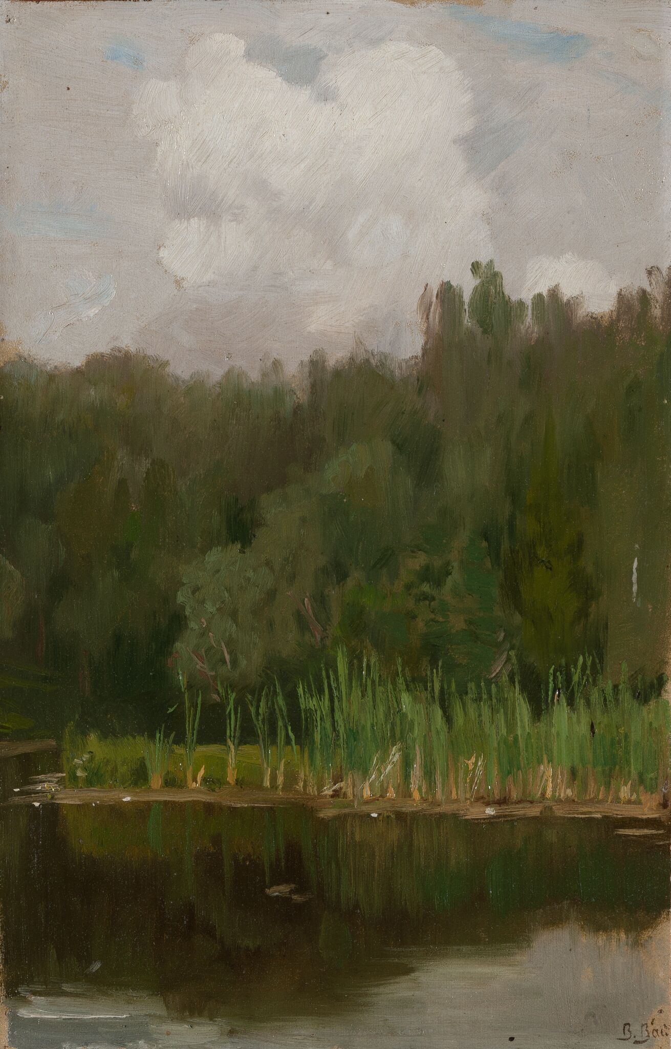 Пруд в Ахтырке, Viktor Vasnetsov, 1880