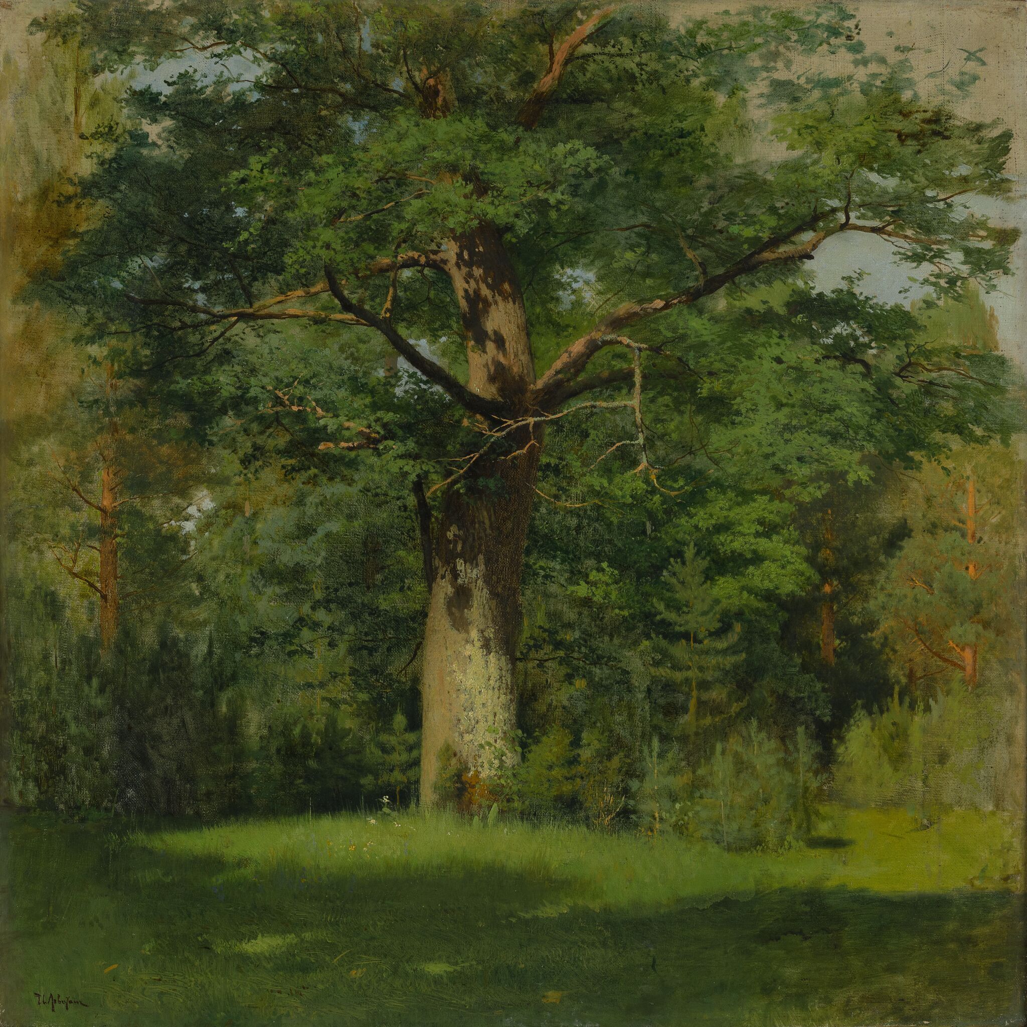 Дуб, Isaac Levitan, 1880