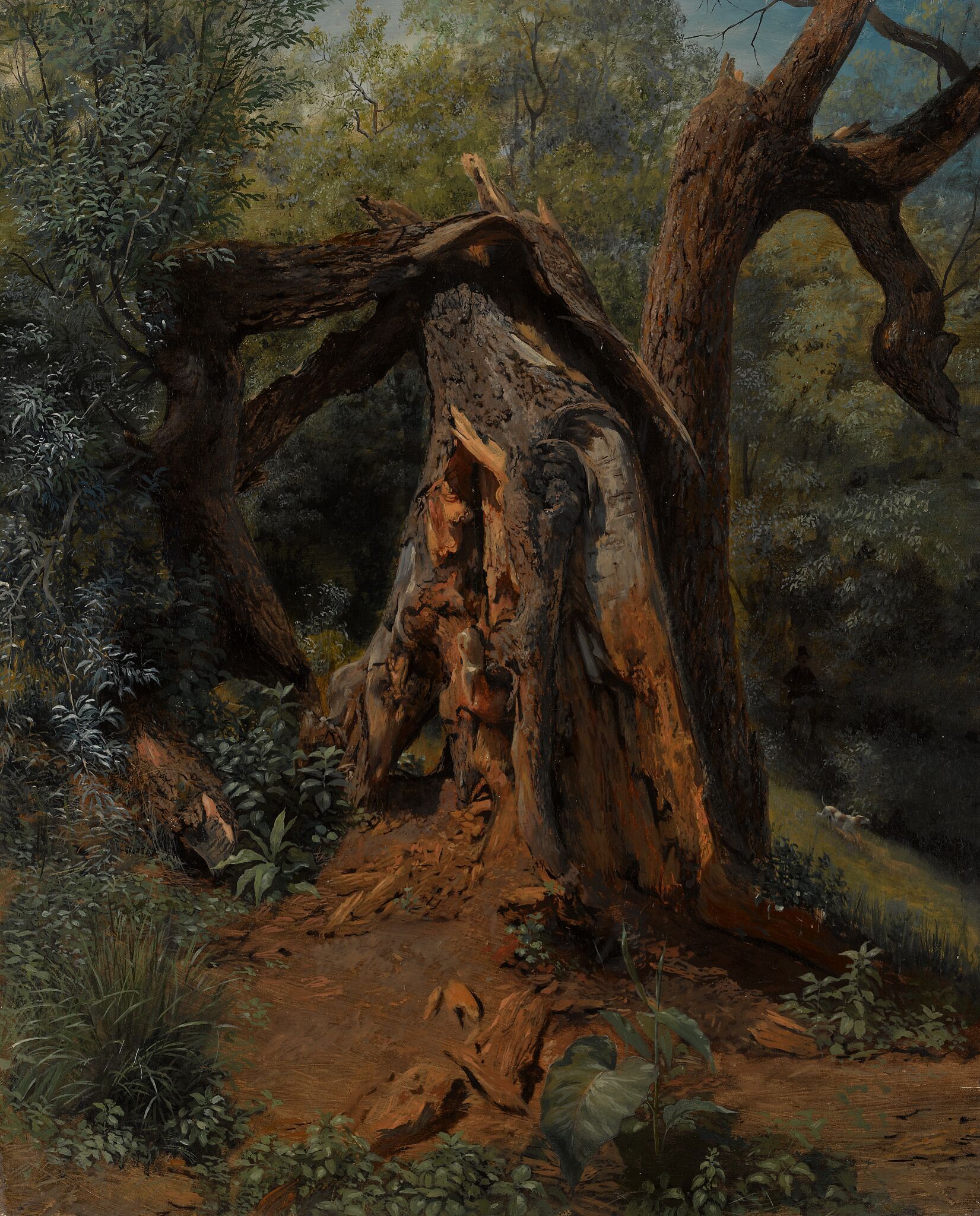 Старое дерево, Lev Lagorio, 1859