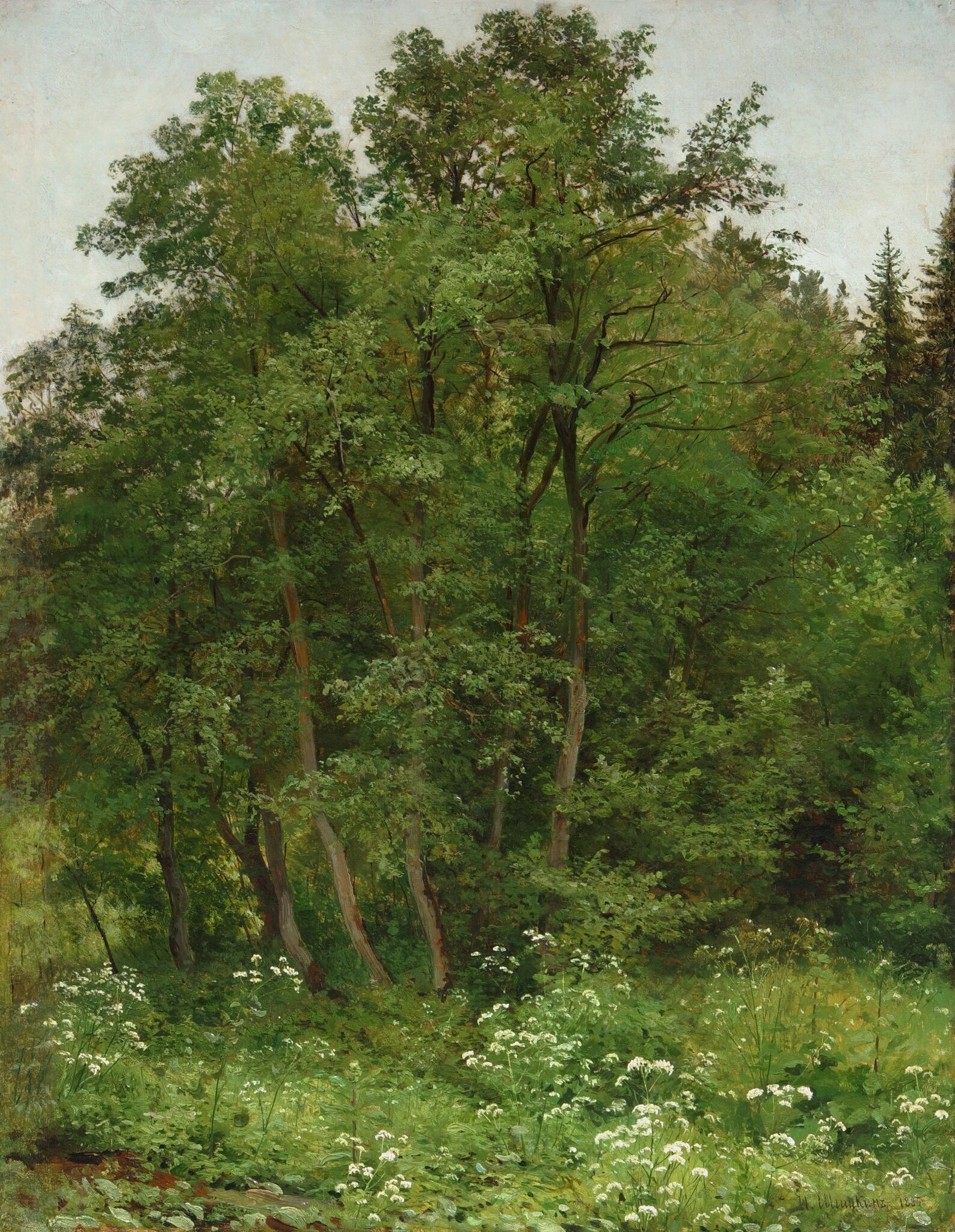 На опушке, Ivan Shishkin, 1885