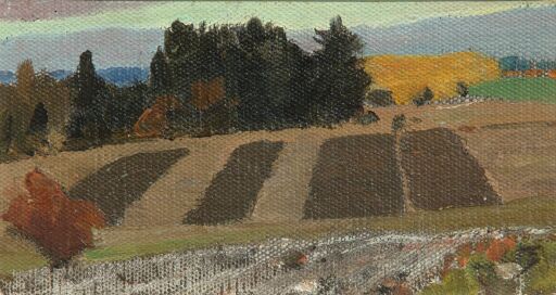 Осенние поля и перелески