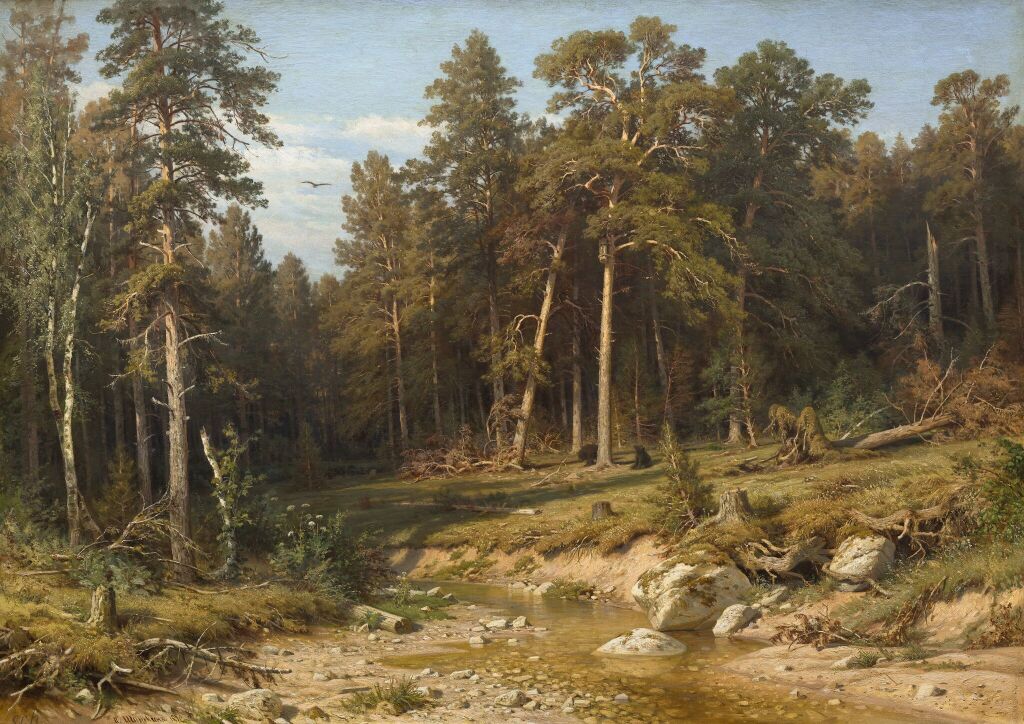 Сосновый бор. Мачтовый лес в Вятской губернии