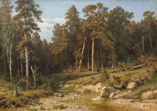 Сосновый бор. Мачтовый лес в Вятской губернии