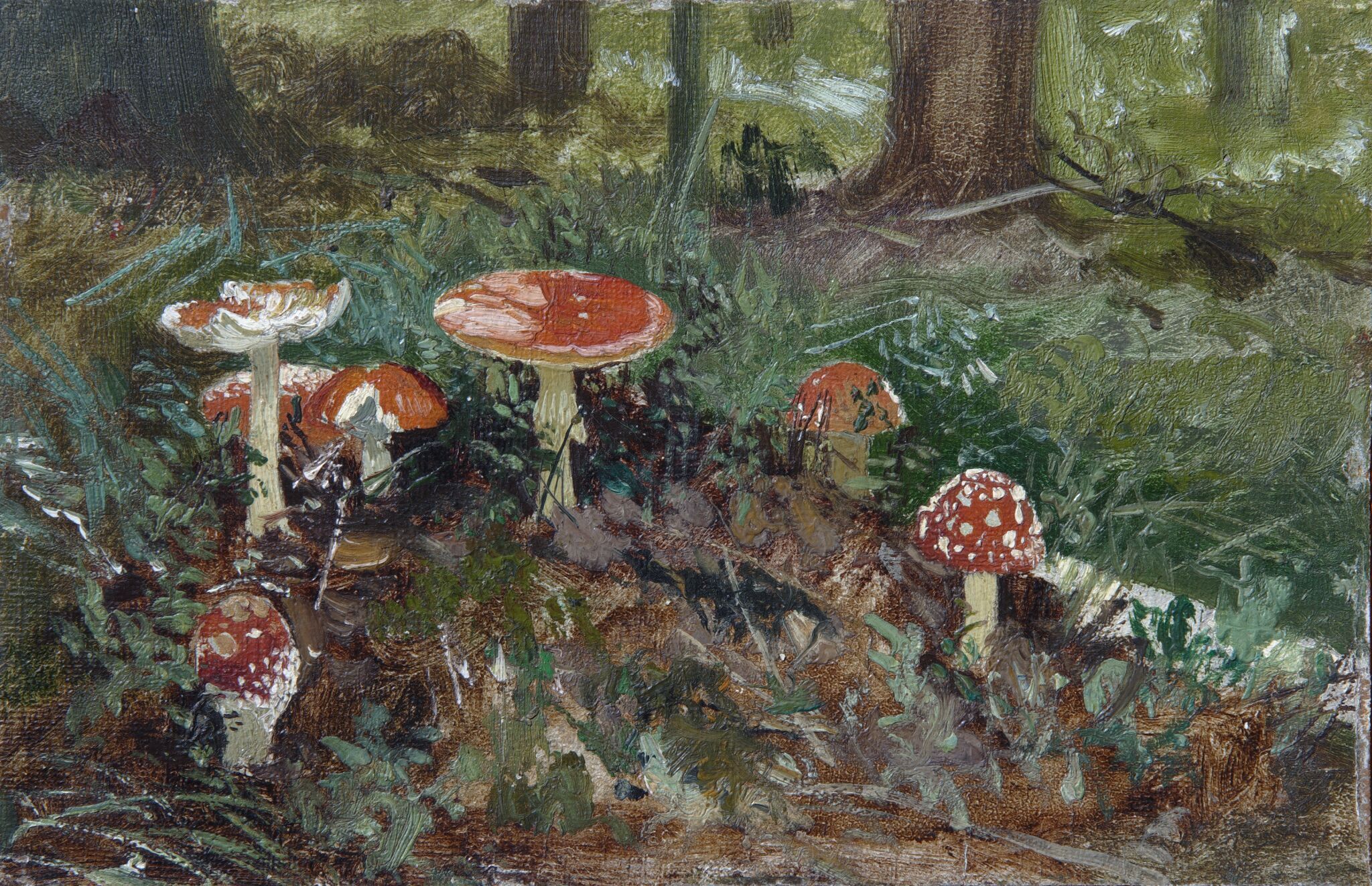 Мухоморы, Ivan Shishkin, 1878-1879