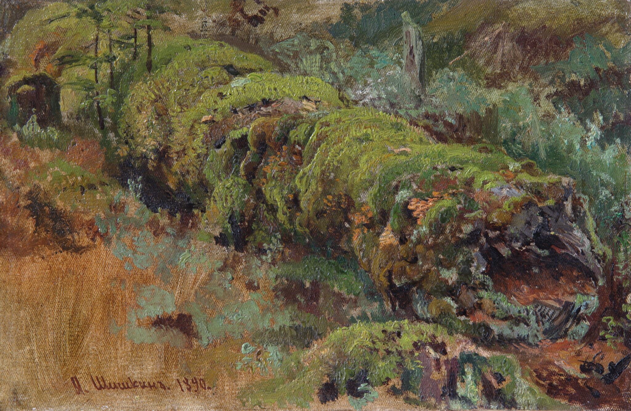 Гнилое дерево, покрытое мхом, Ivan Shishkin, 1890
