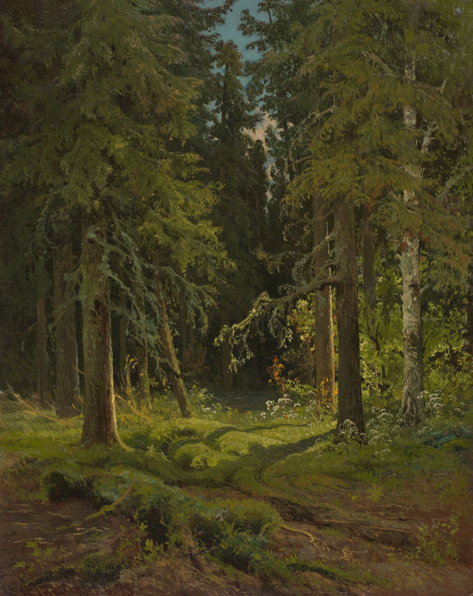 Лесной пейзаж, Ivan Shishkin, 1878