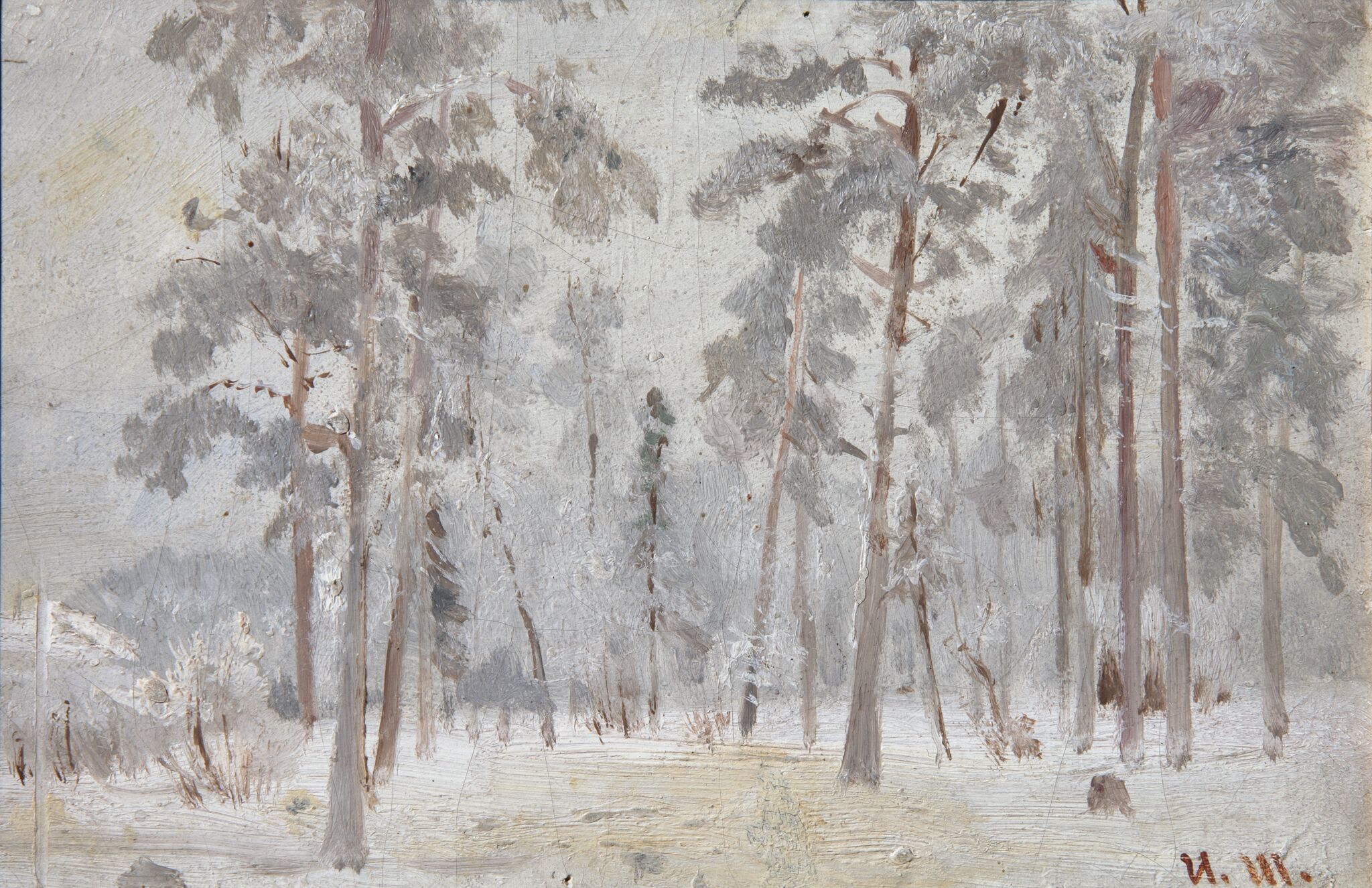 Лес в инее, Ivan Shishkin, 1890s