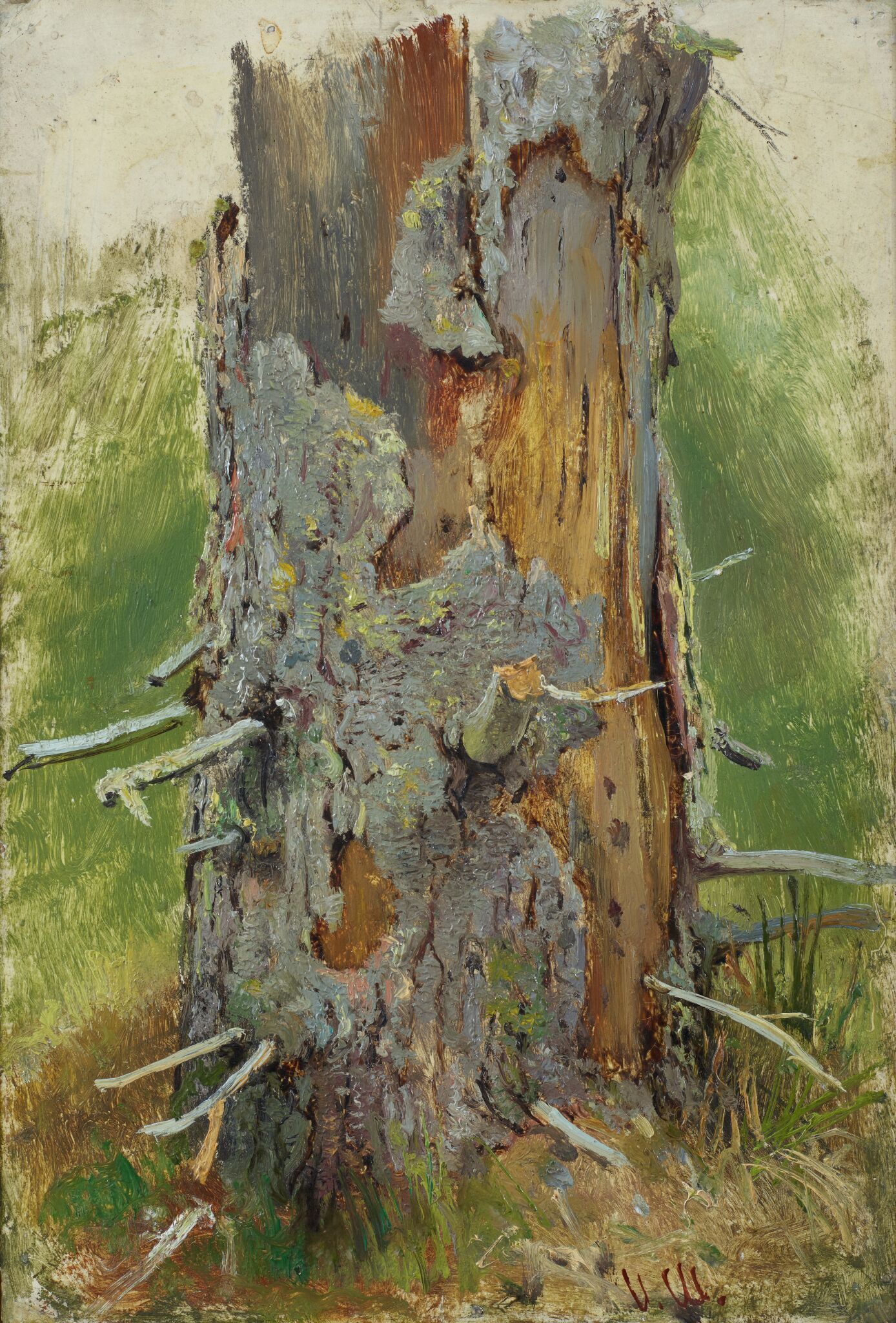 Кора на сухом стволе, Ivan Shishkin, 1889-1890