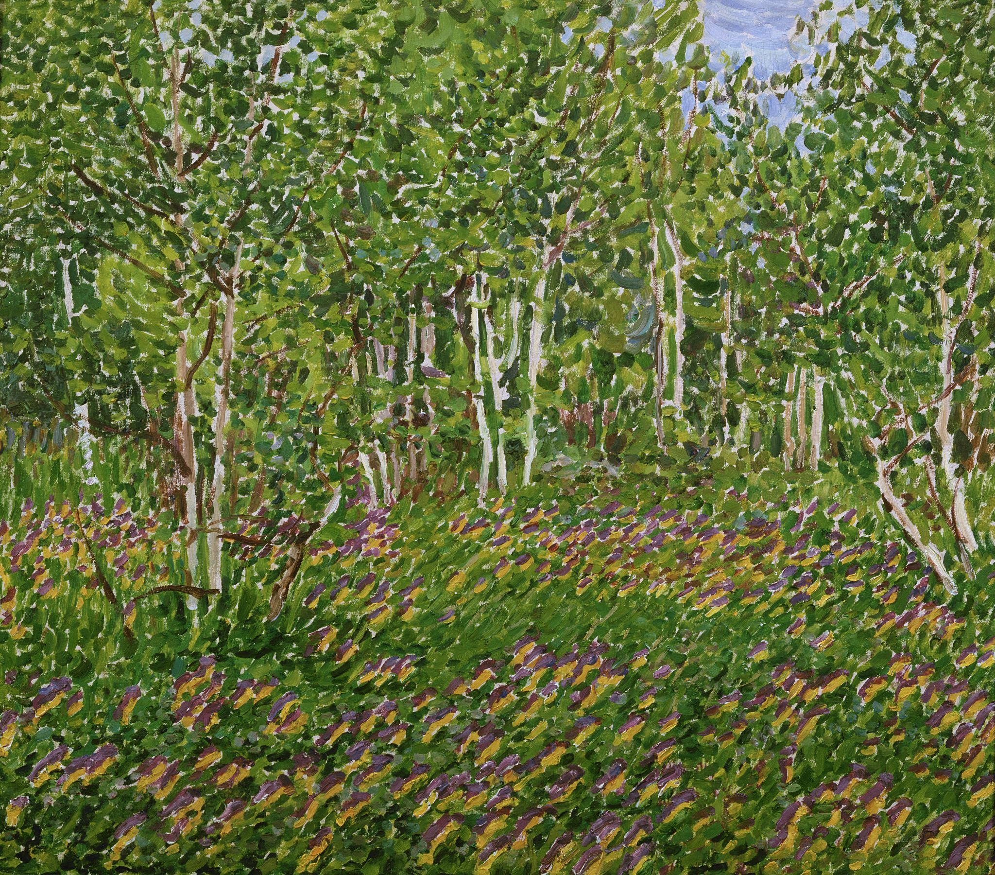 Иван-да-марья, Nikolay Meshcherin, 1914