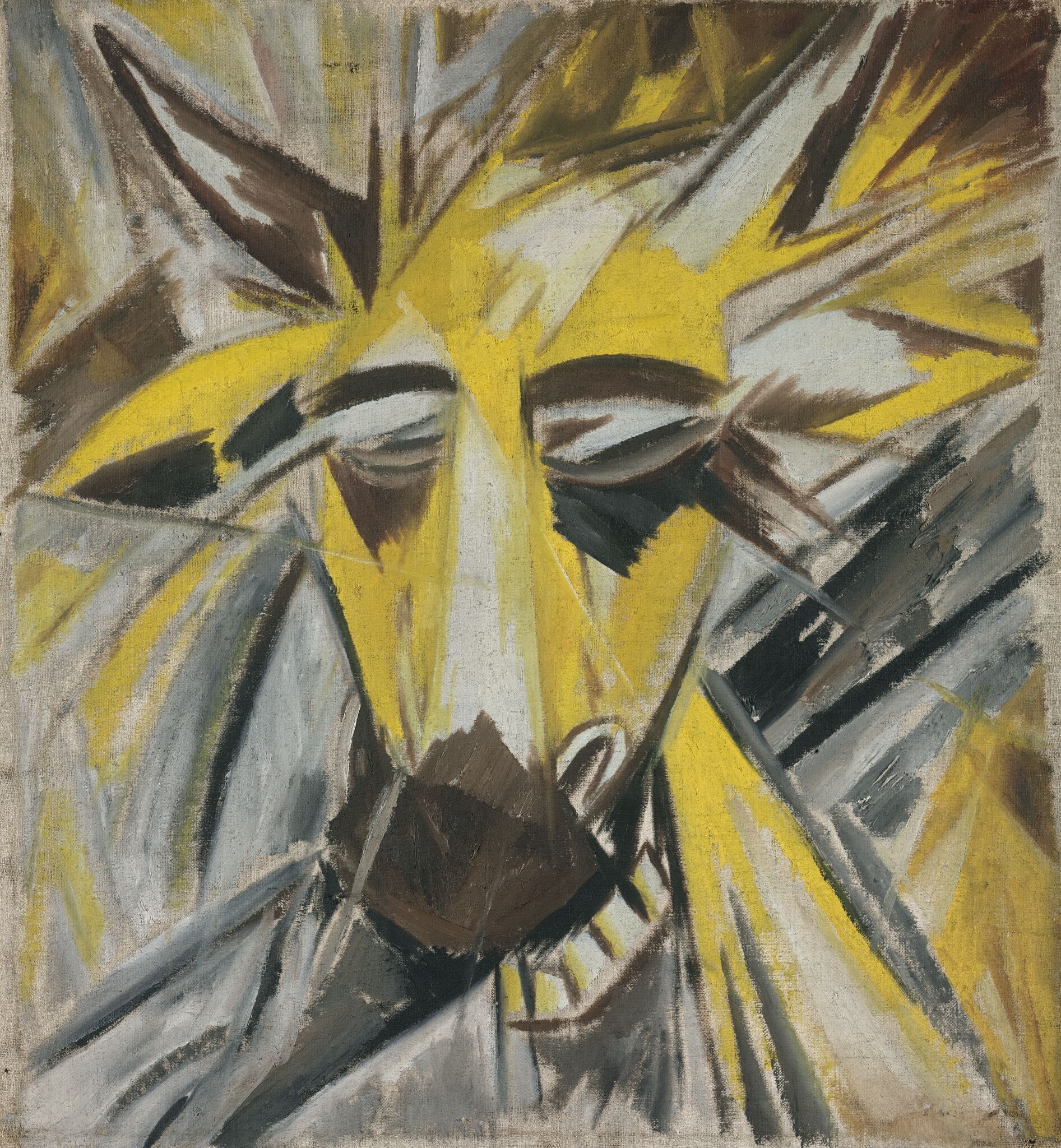 Голова быка, Mikhail Larionov, 1913