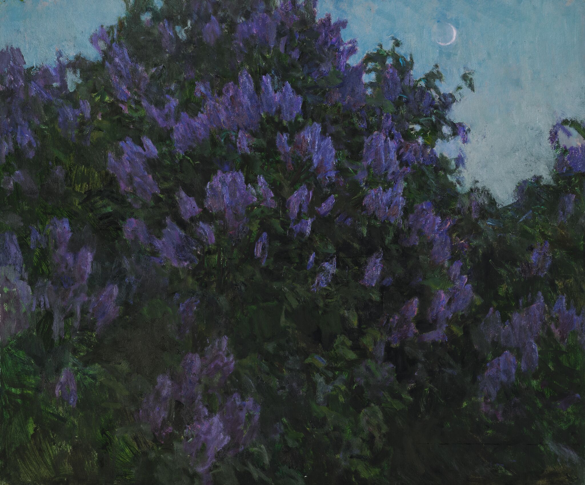 Сирень, Aleksei Gritsai, 1976