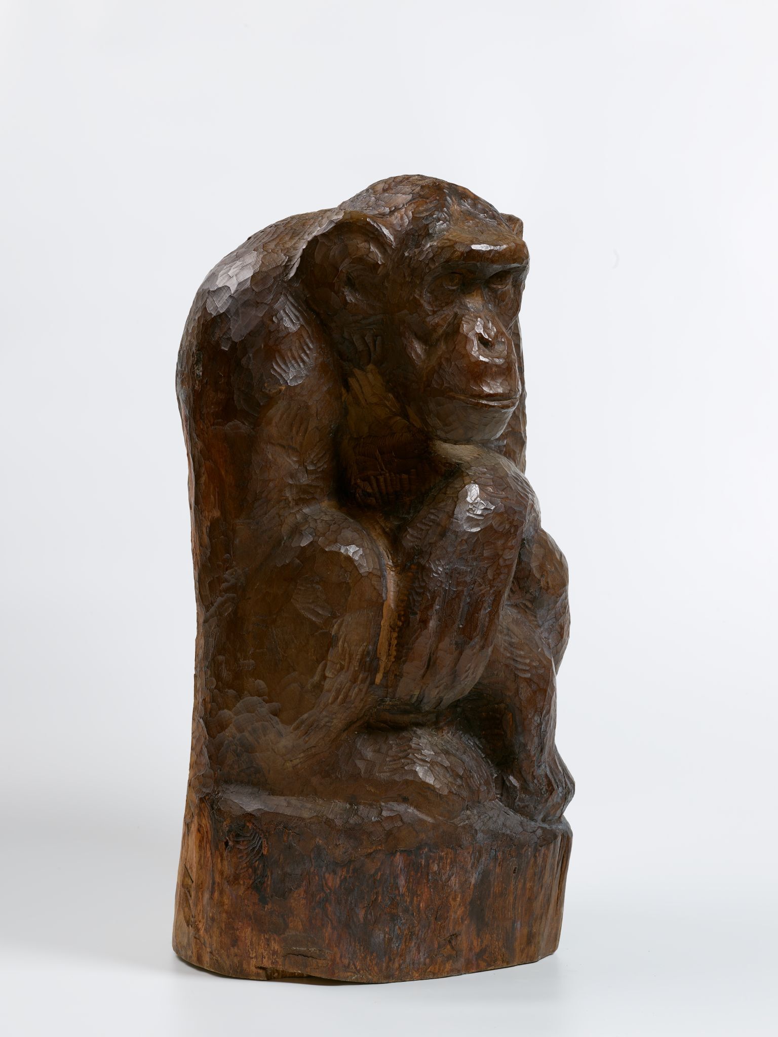 Шимпанзе, Vasily Vatagin, 1930s