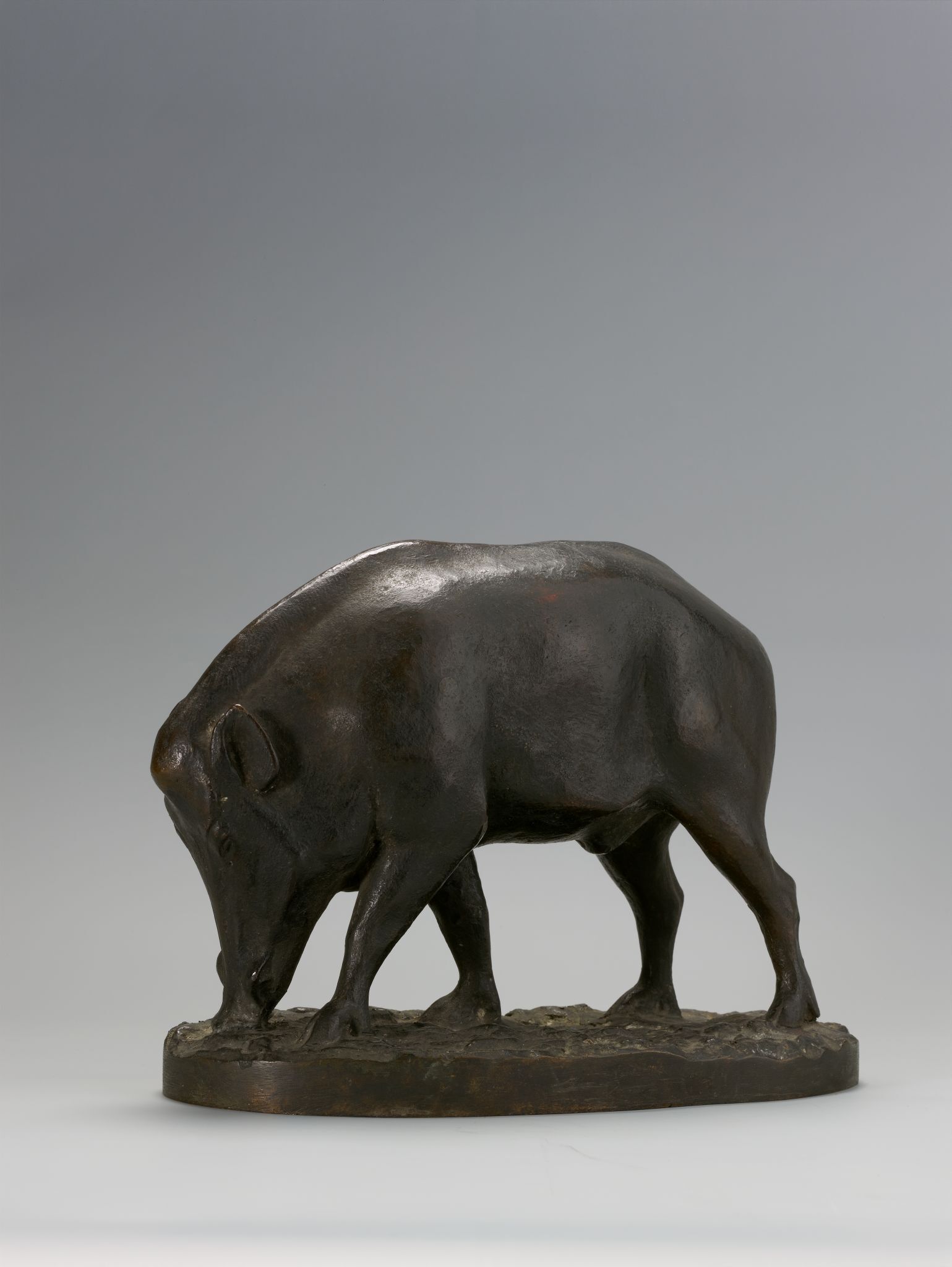 Кабан, Vasily Vatagin, 1925-1926