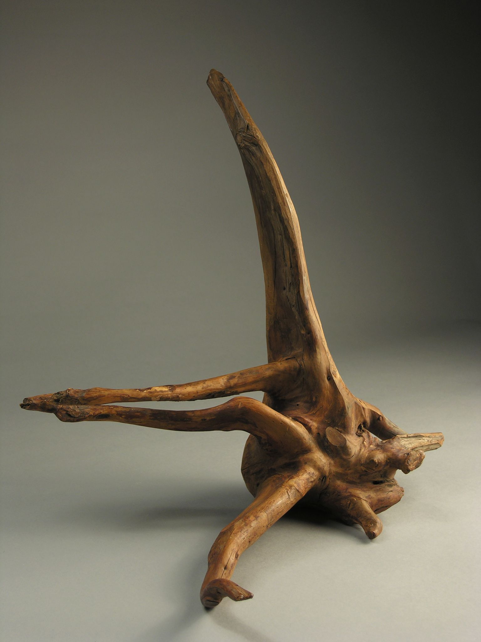 Корневая скульптура, Mikhail Matiushin, early 1920s