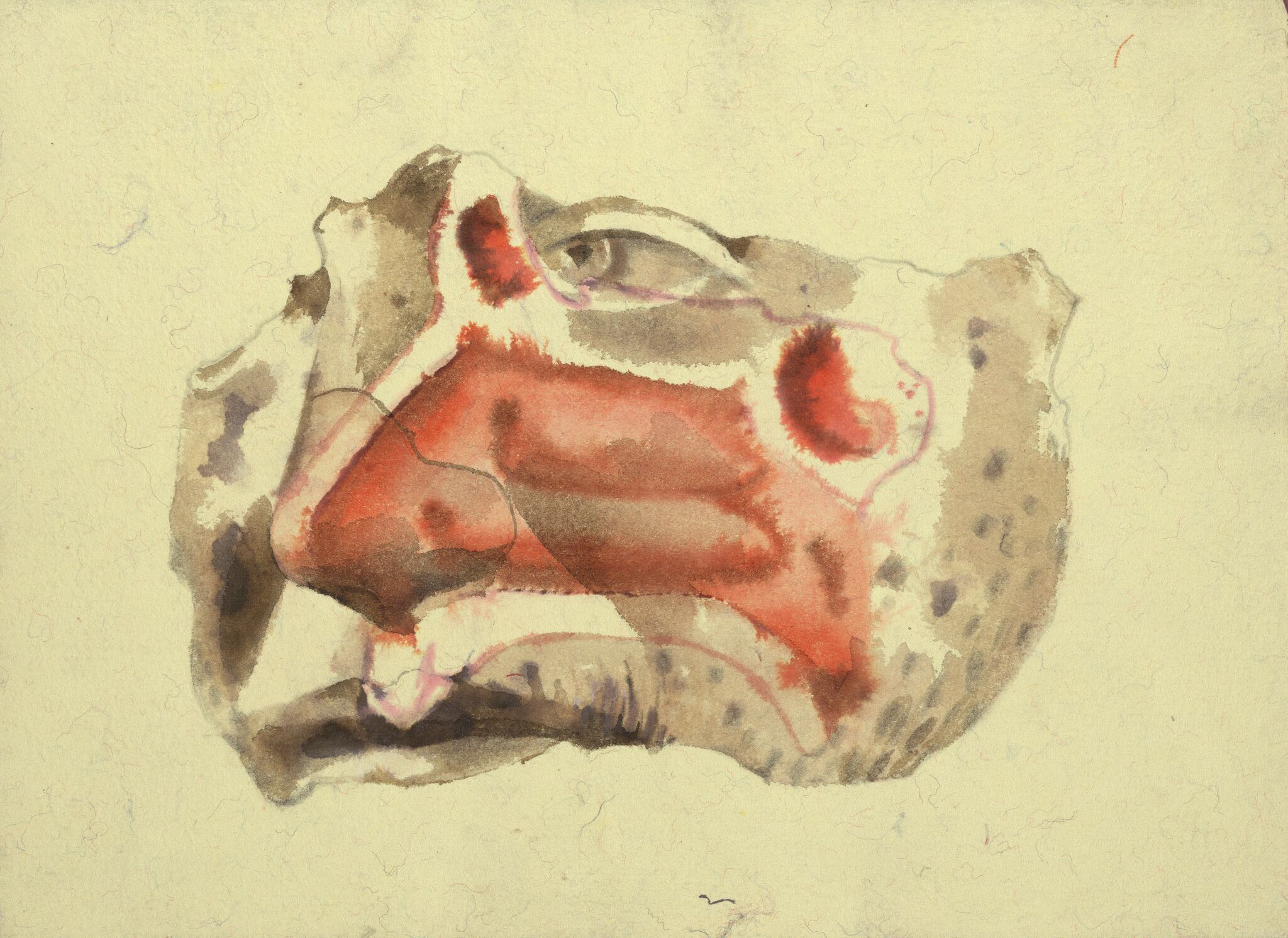 Нос, Irina Nakhova, 1992