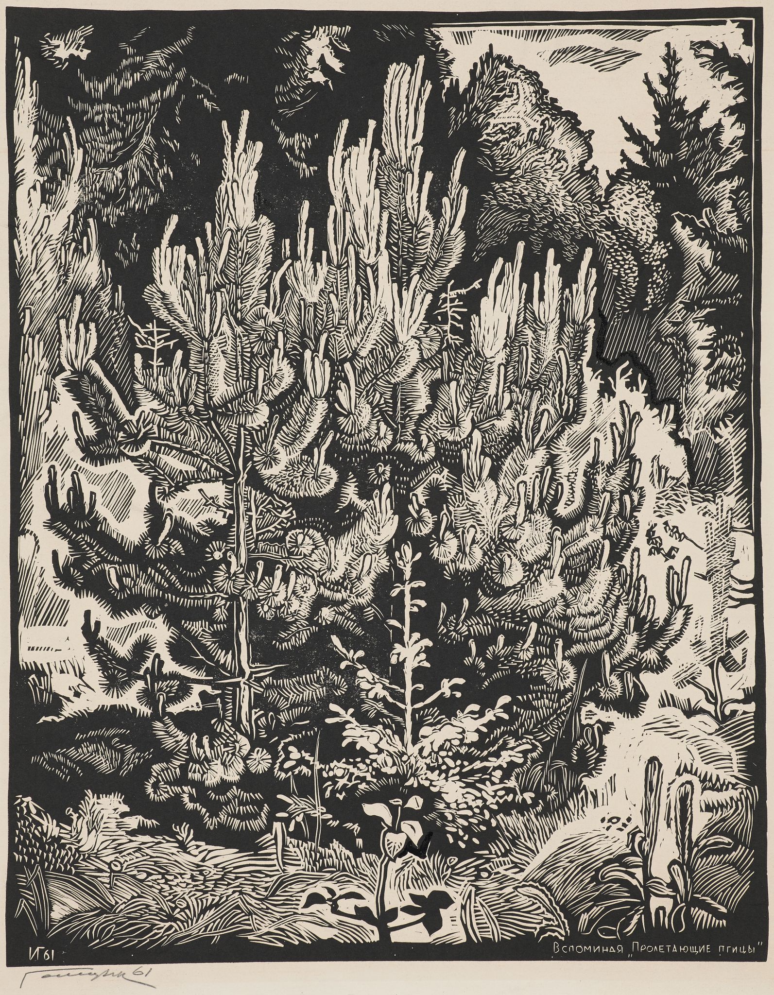 Сосна, Illarion Vladimirovich Golitsyn, 1961