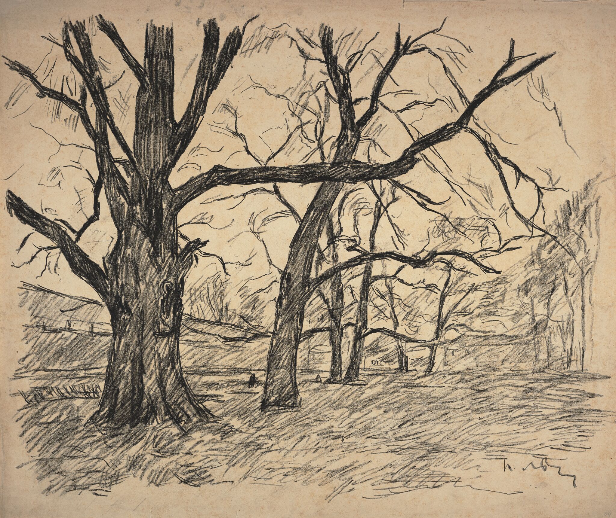 Деревья, Pyotr Lvov, 1920