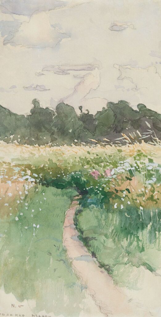 Куракино издали