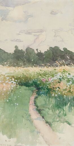 Куракино издали