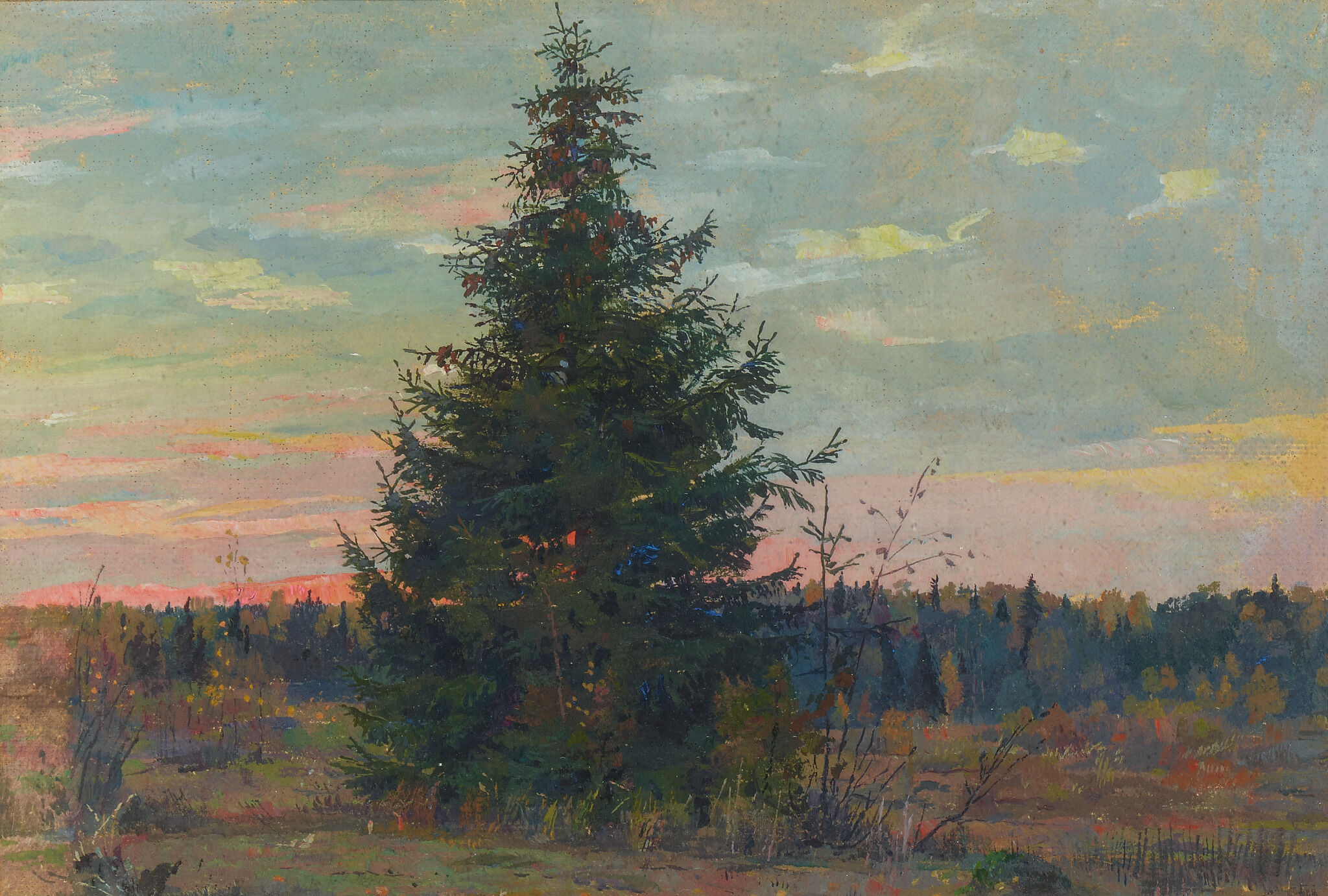 Ель. Этюд для картины «Моя Родина», Pavel Korin, 1928