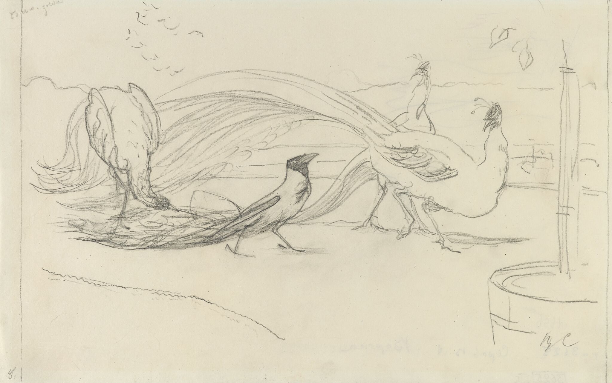 «Ворона», Valentin Serov, 1895–1911