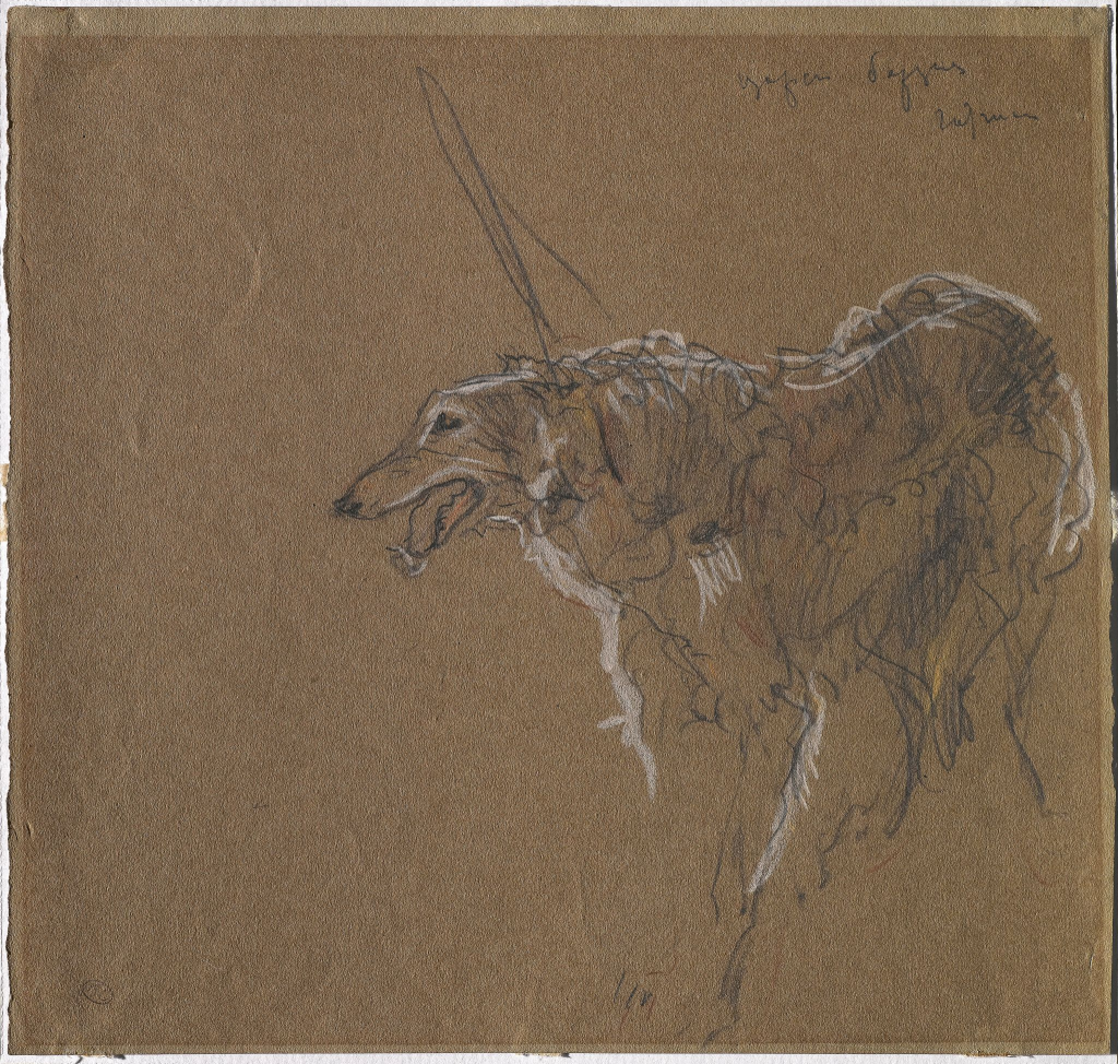 card-img-46