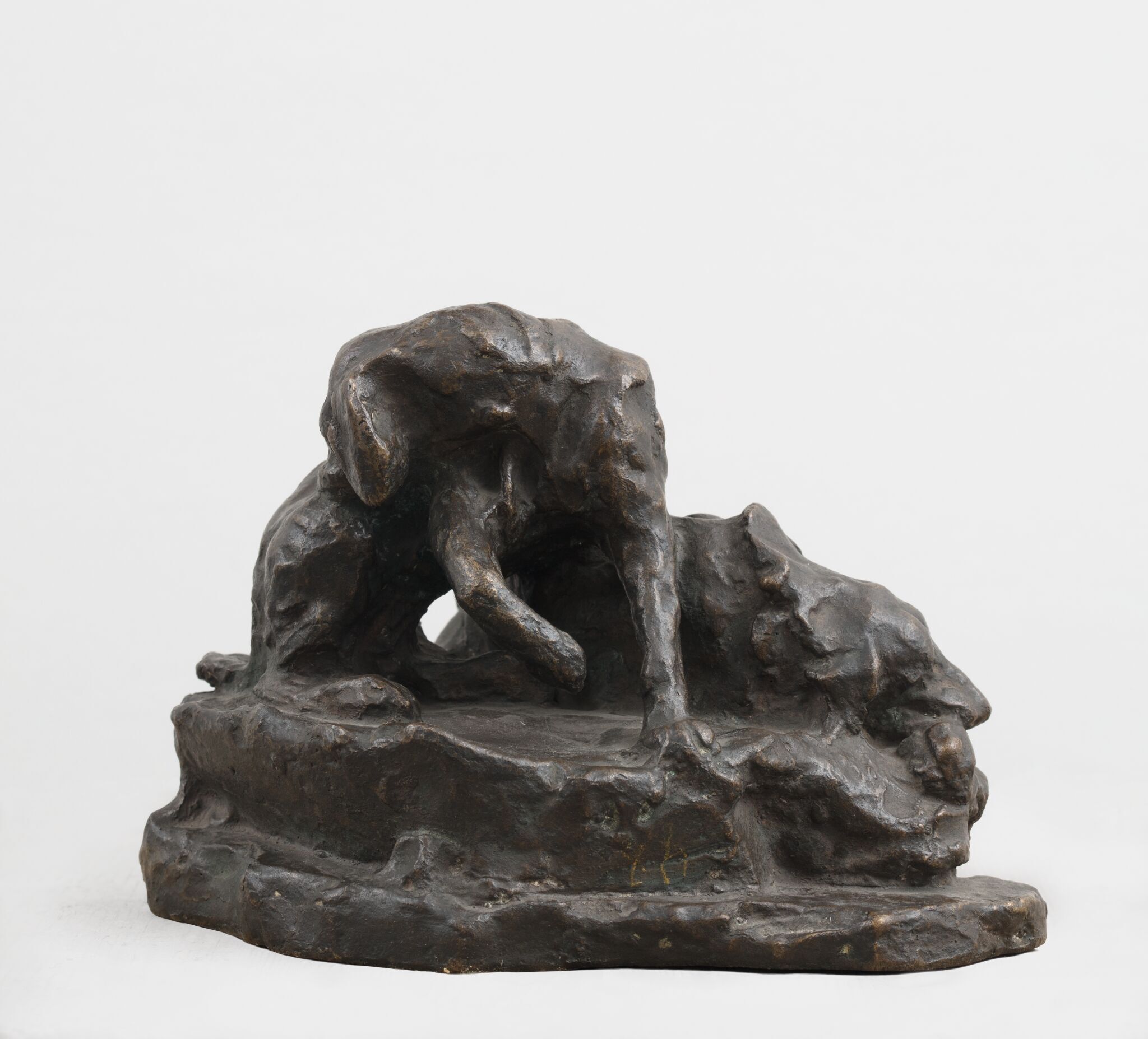 Собаки, Anna Golubkina, 1894