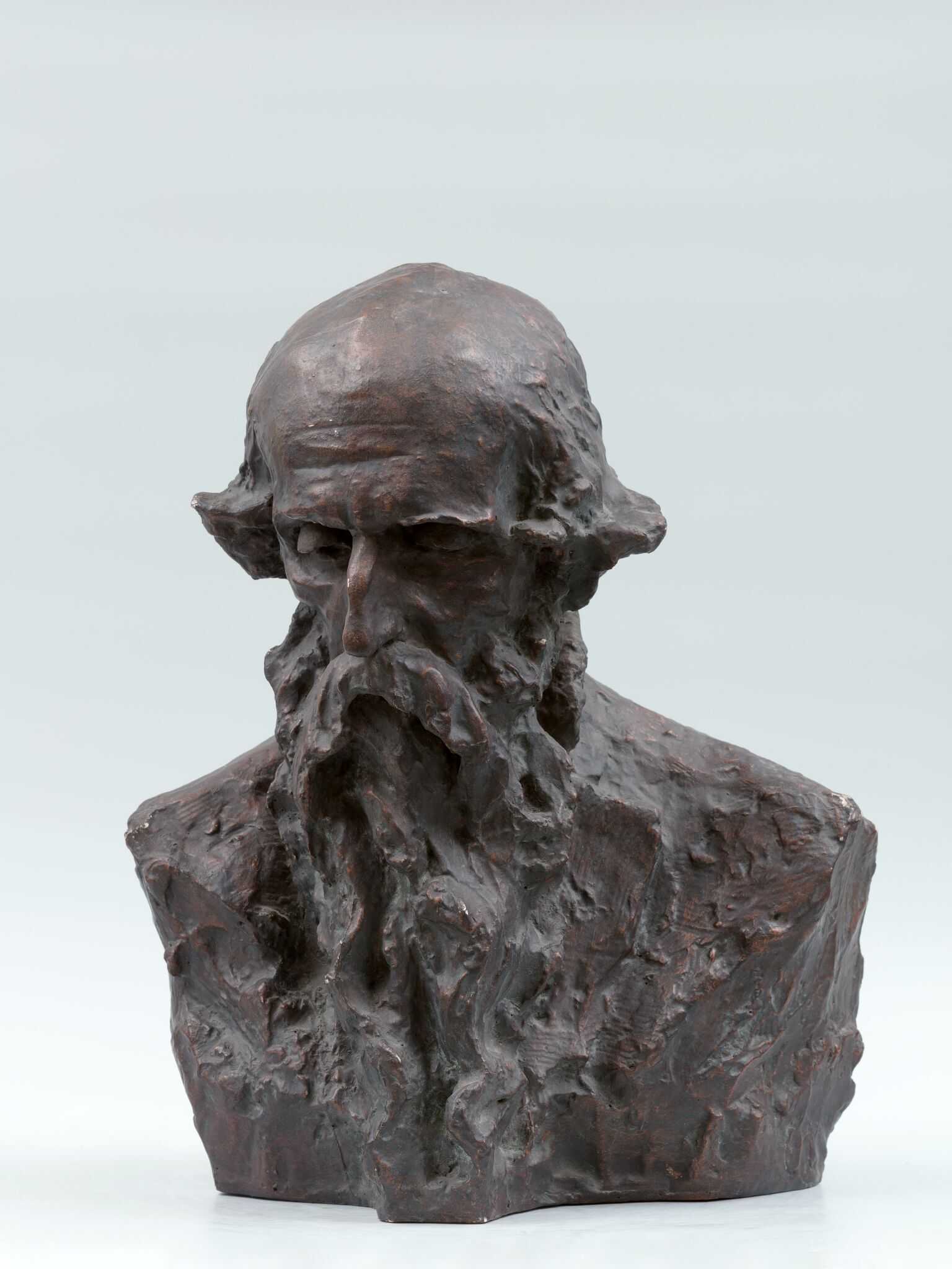 Портрет П.С. Голубкина, Anna Golubkina, 1892