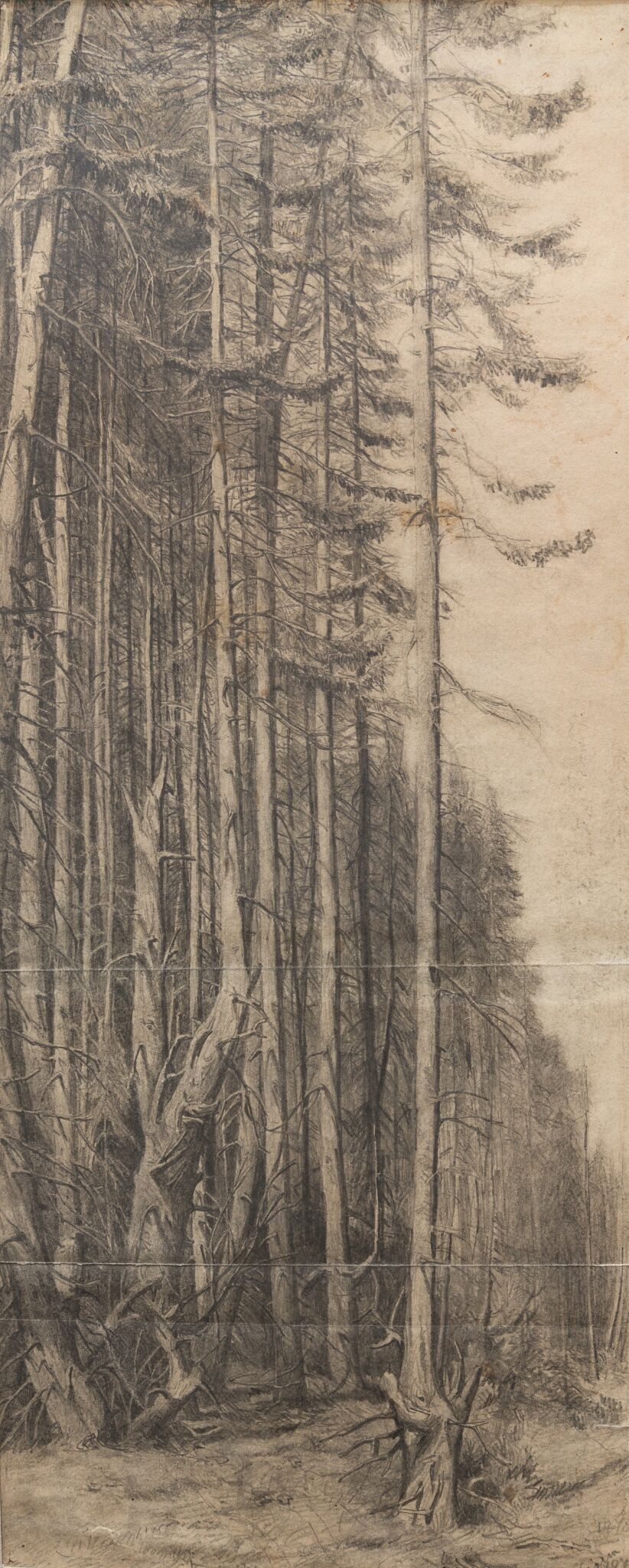 Сосны, Apollinary Vasnetsov, 1872