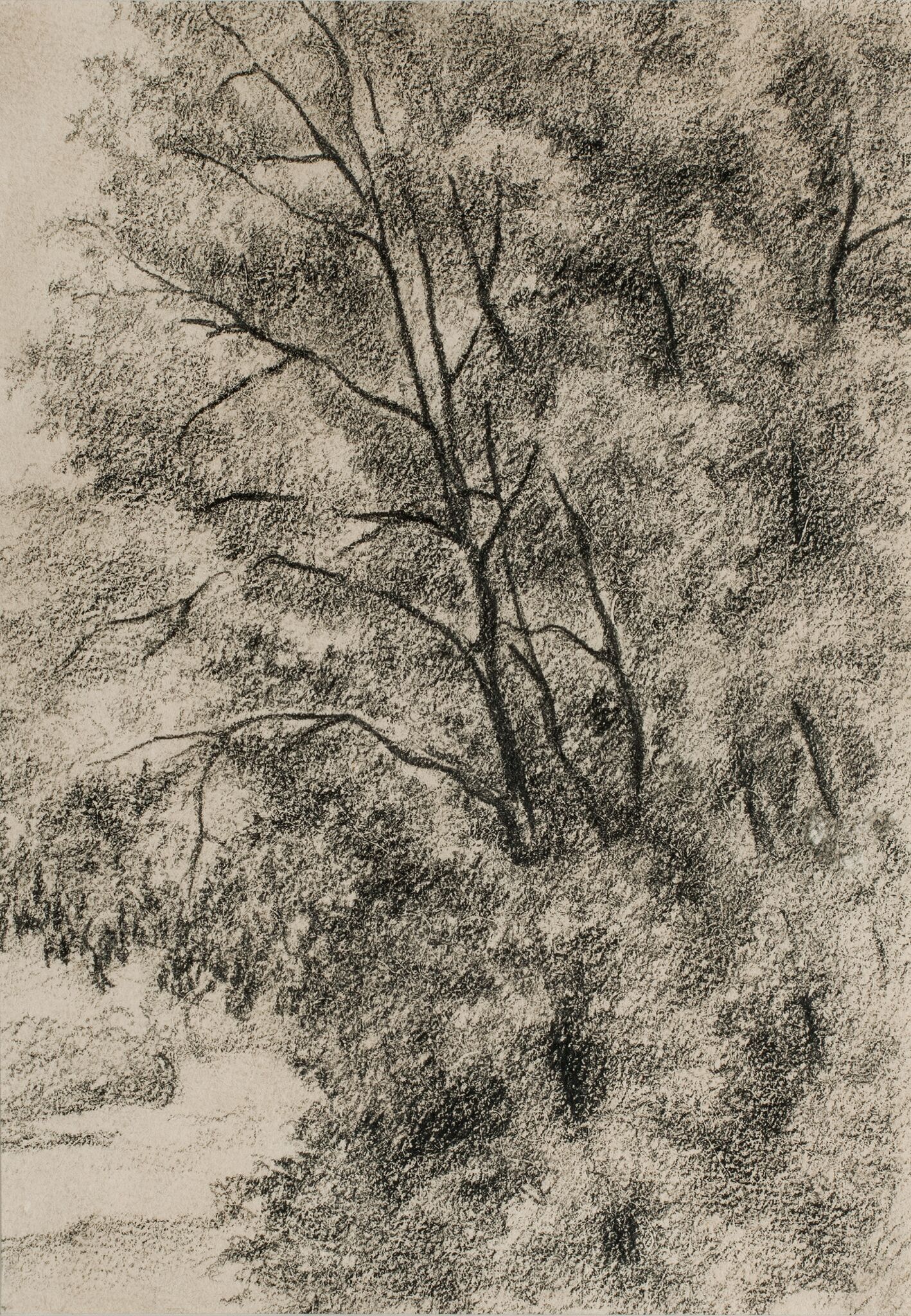 Лиственные деревья, Apollinary Vasnetsov, 1870s