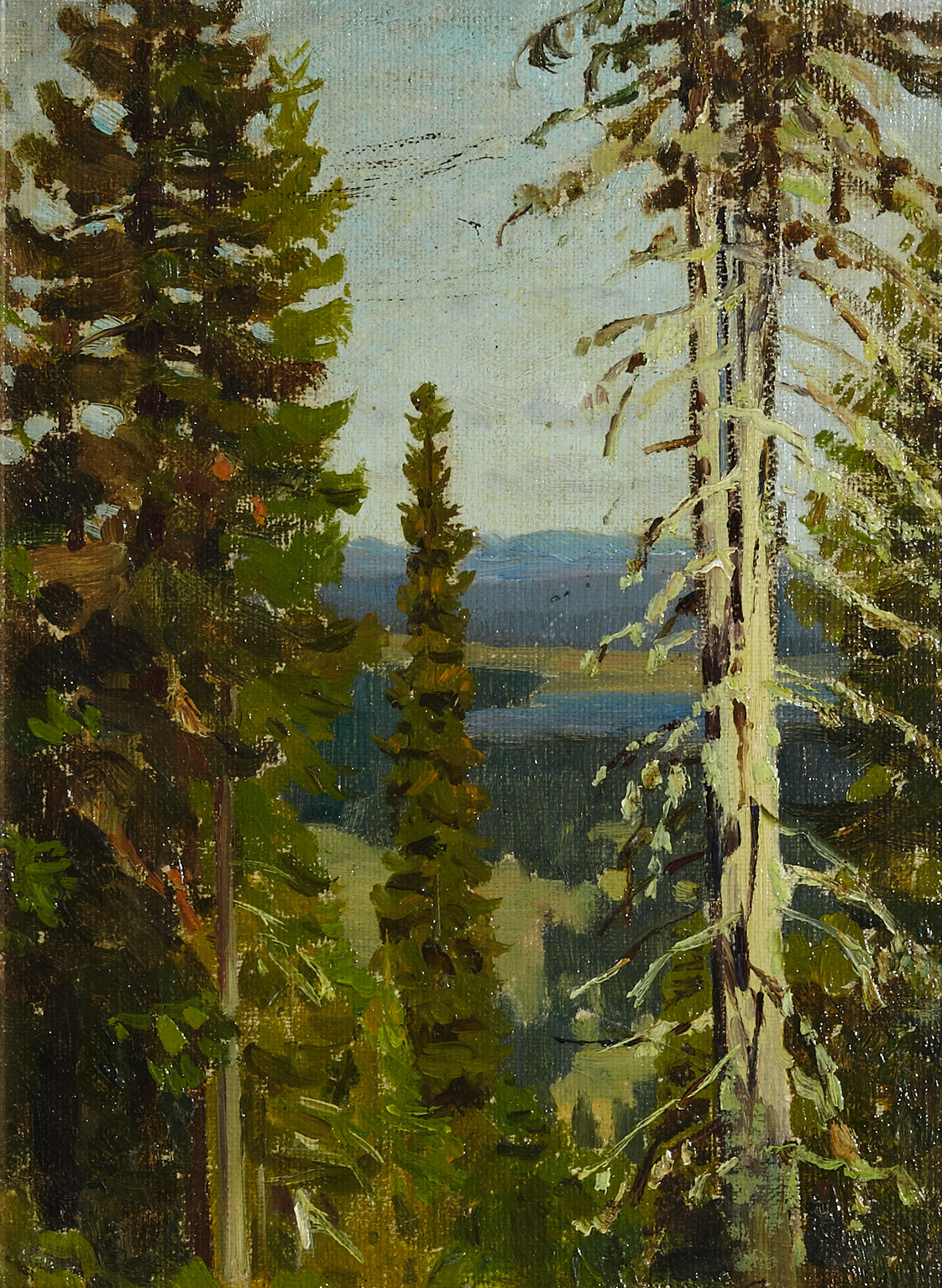 Лес на горе Благодать, Apollinary Vasnetsov, 1890