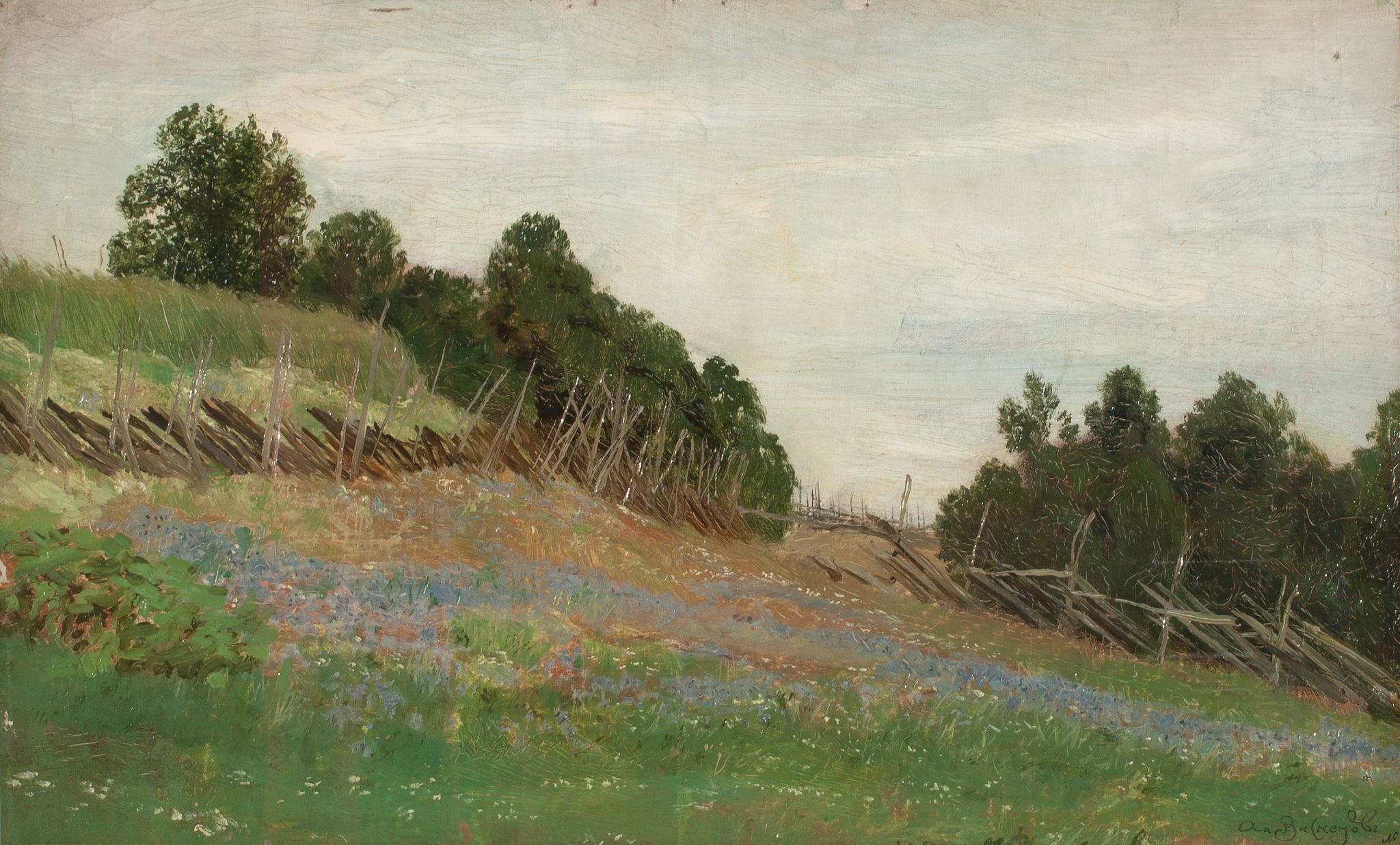 Финляндия. В поле, Apollinary Vasnetsov, 1881