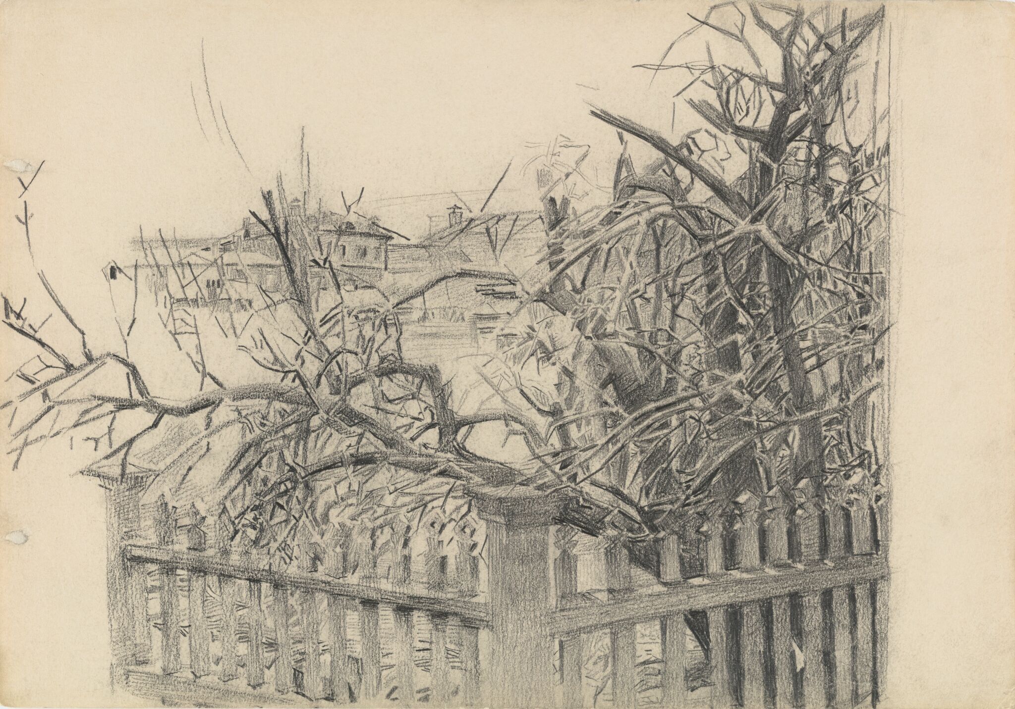 Дерево у забора, Mikhail Vrubel, 1903-1904