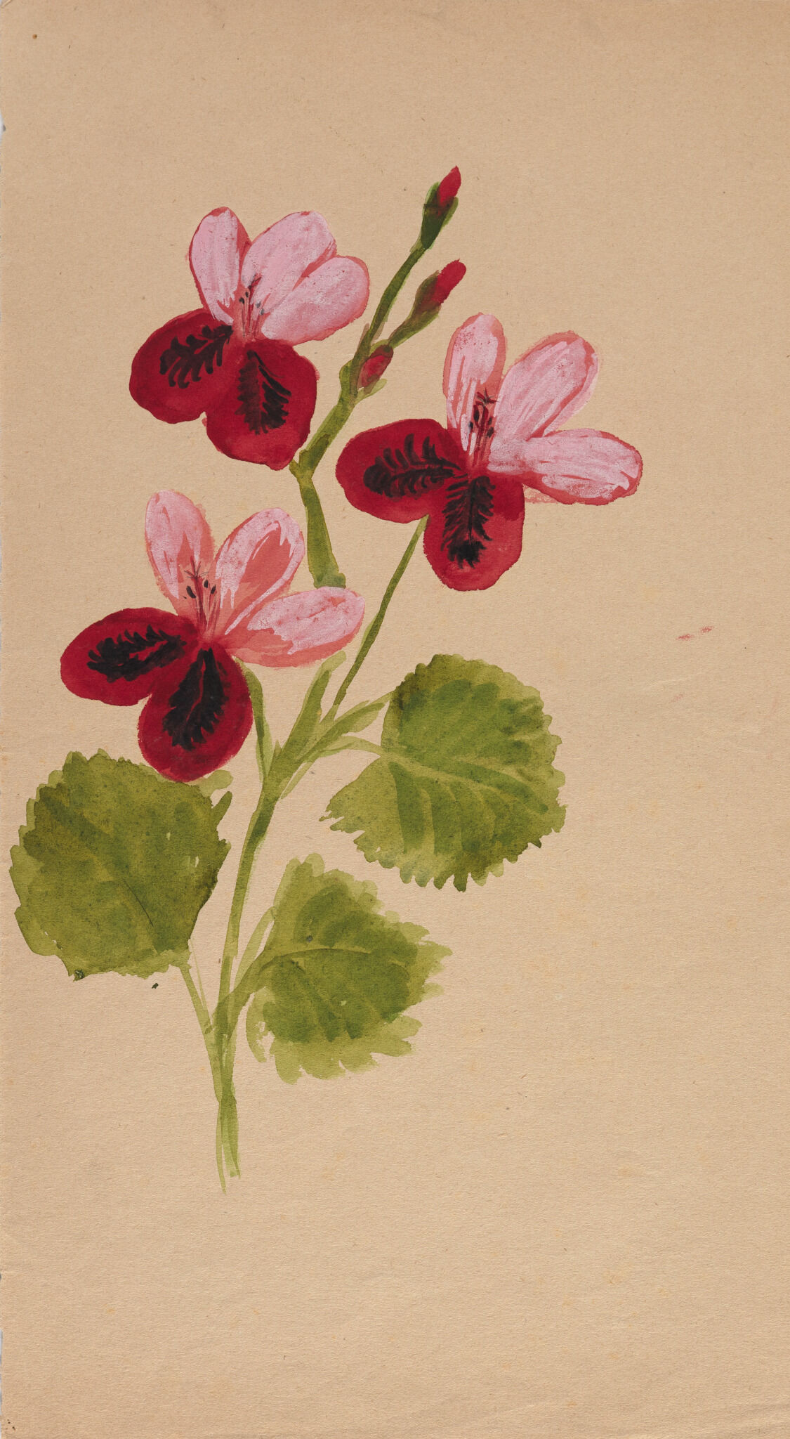 Герань, Anna Golubkina, 1910s – first half of the 1920s