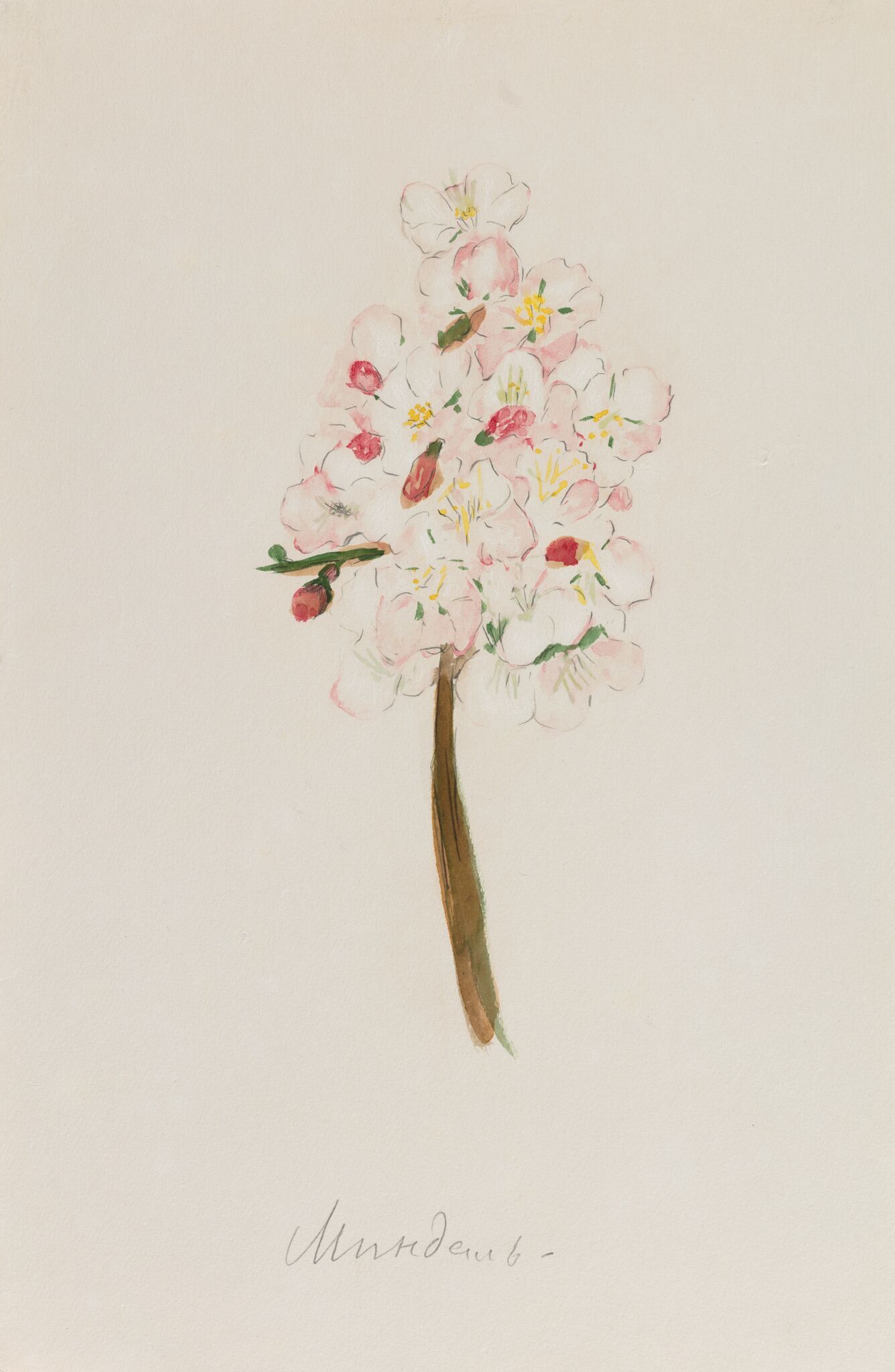 Миндаль, Anna Golubkina, 1910