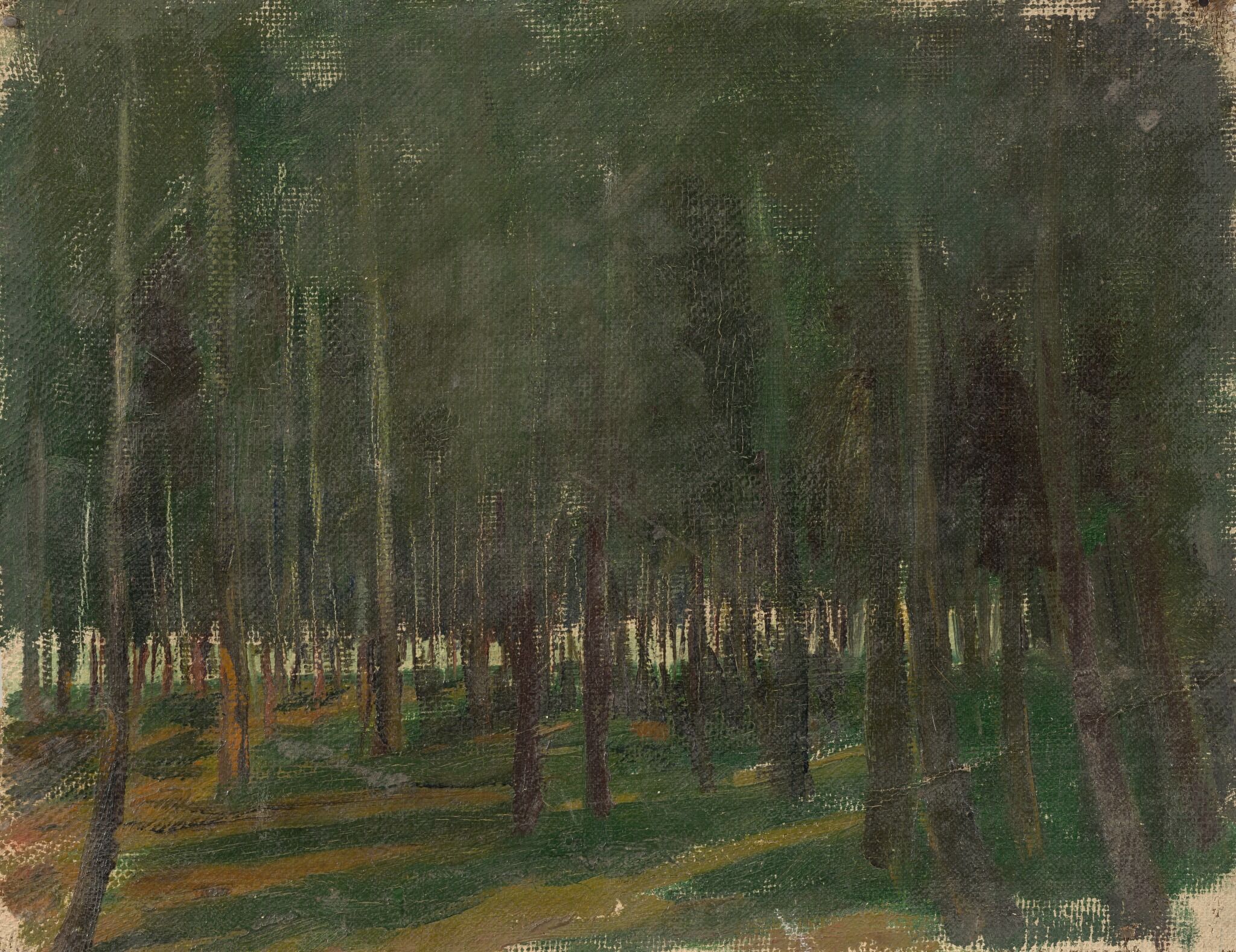 Лесной пейзаж, Anna Golubkina, mid-1890s–mid-1920s