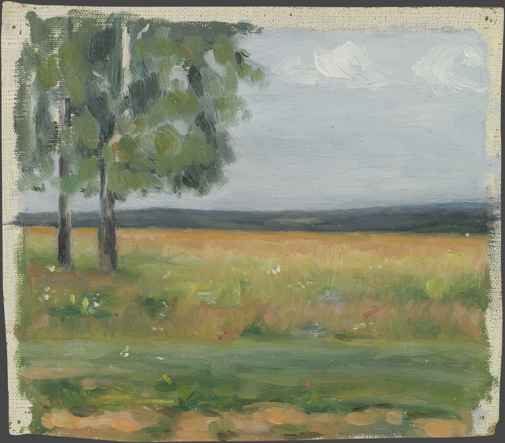 Поле, Viktor Vasnetsov, 1900s