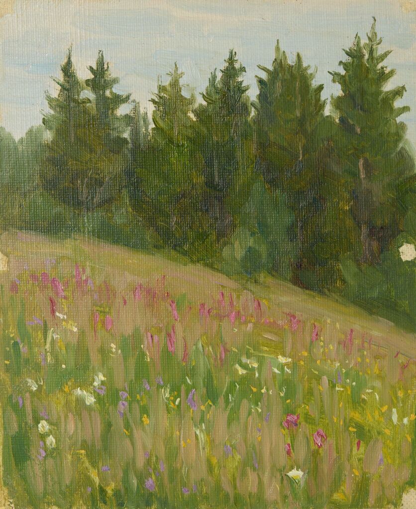 Опушка леса. Лето. Рябово