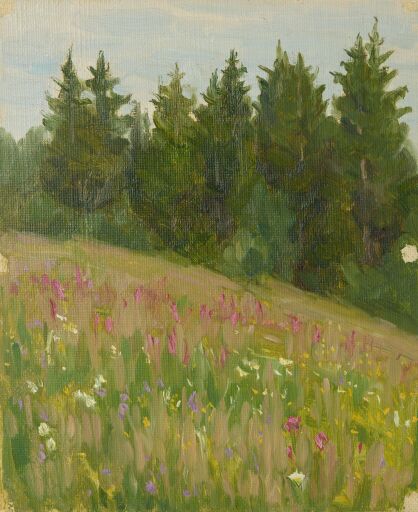 Опушка леса. Лето. Рябово